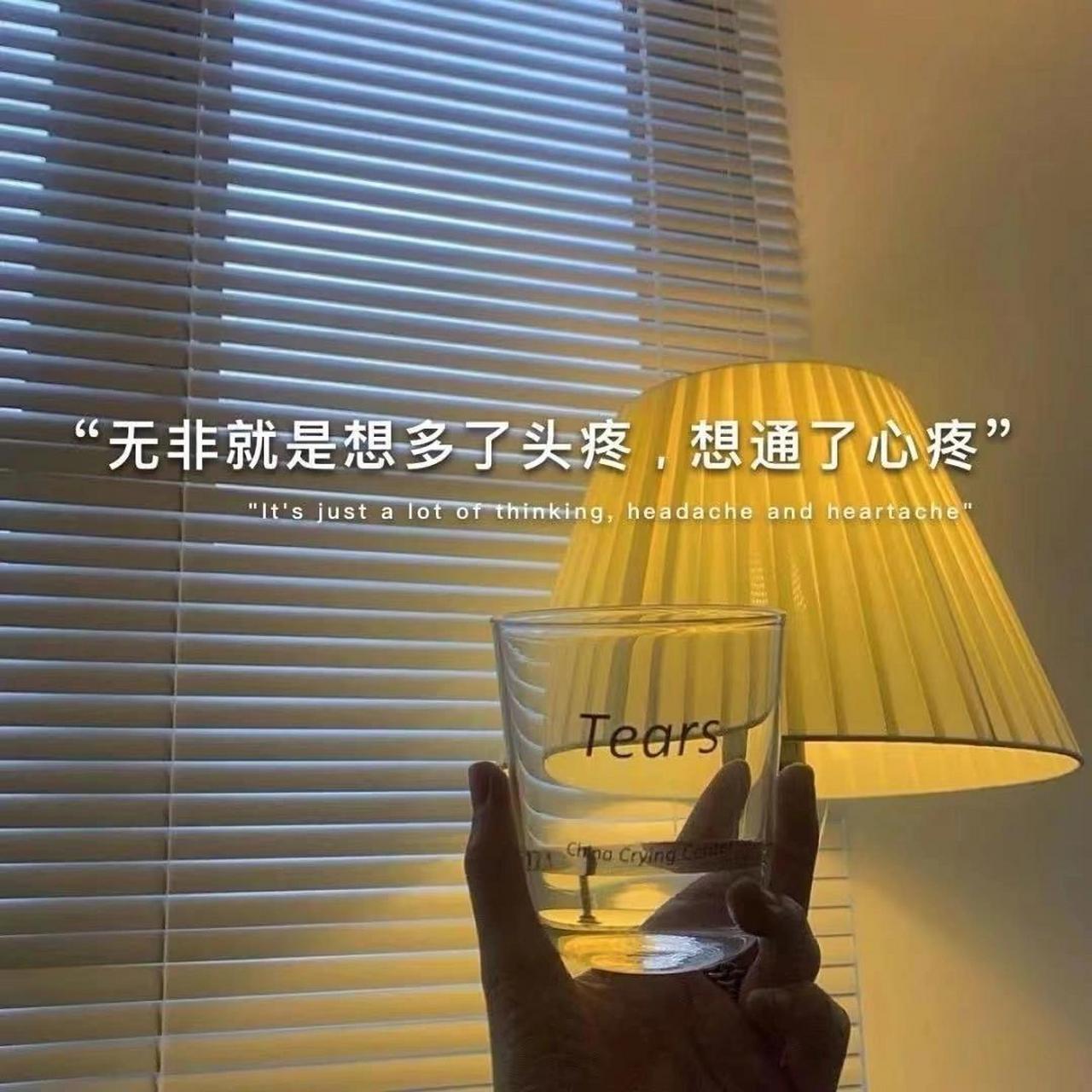 适合心情低落的说说文案 成年人的世界没有告别仪式 只有心照不宣的