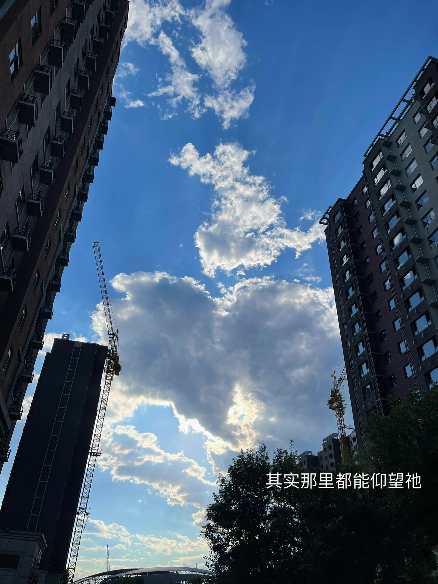 廊坊这两天的天气 无论多糟糕的事 在祂这里都看为美好 因为,祂要赐给