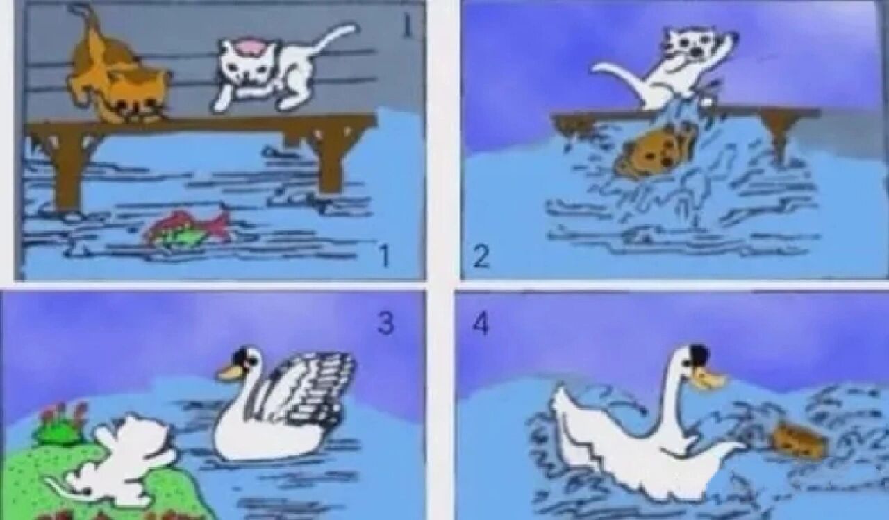 看图写话 小猫抓鱼