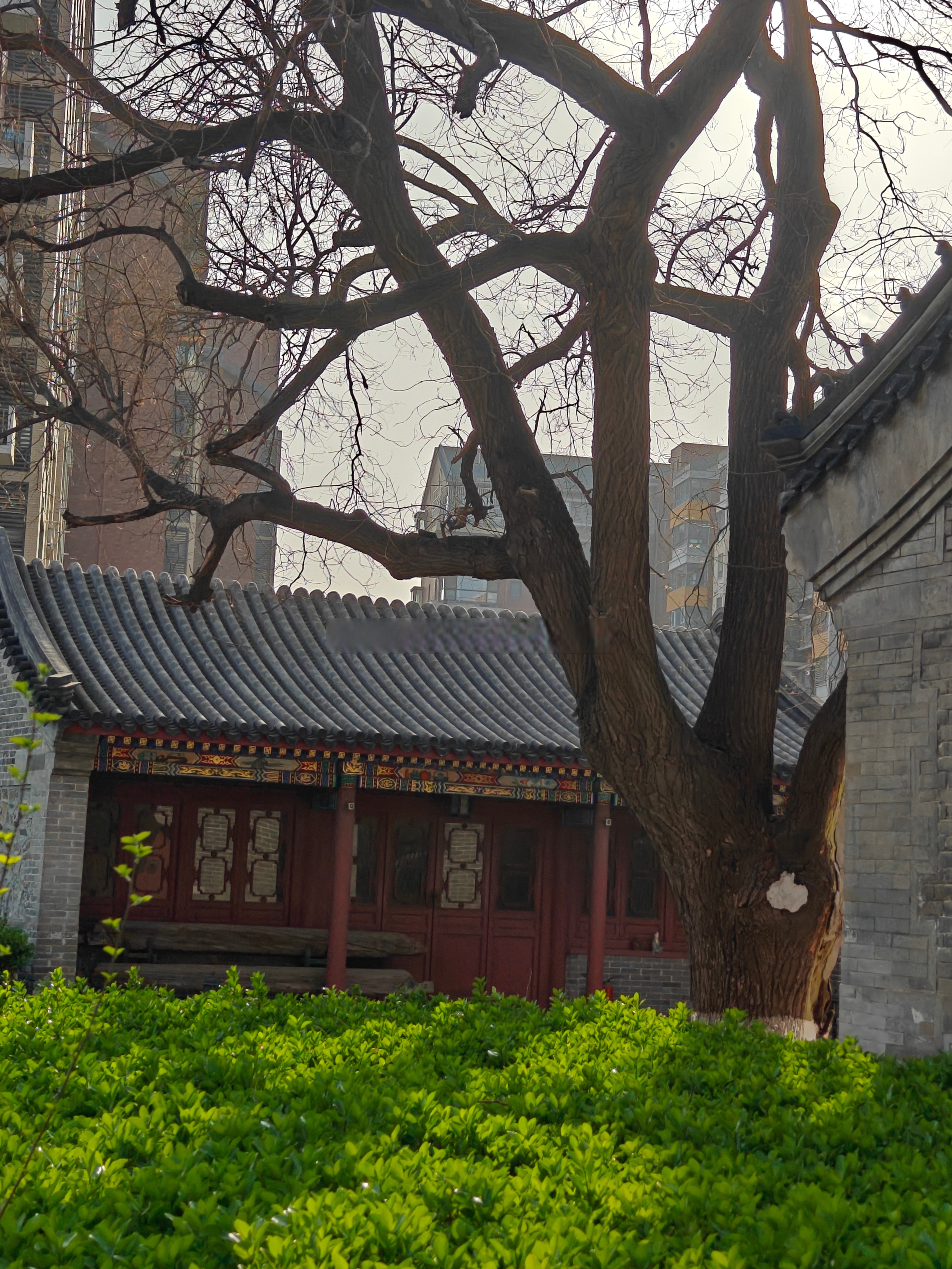 瑞儿踢球我也别闲着,天气这么暖和,周边逛逛,然后回来路上试试衣服