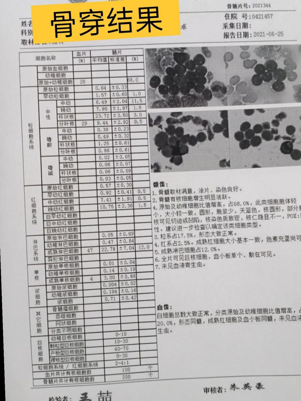 骨穿结果显示 我不知道是什么原因,我们住的是老房子,家具也是旧的
