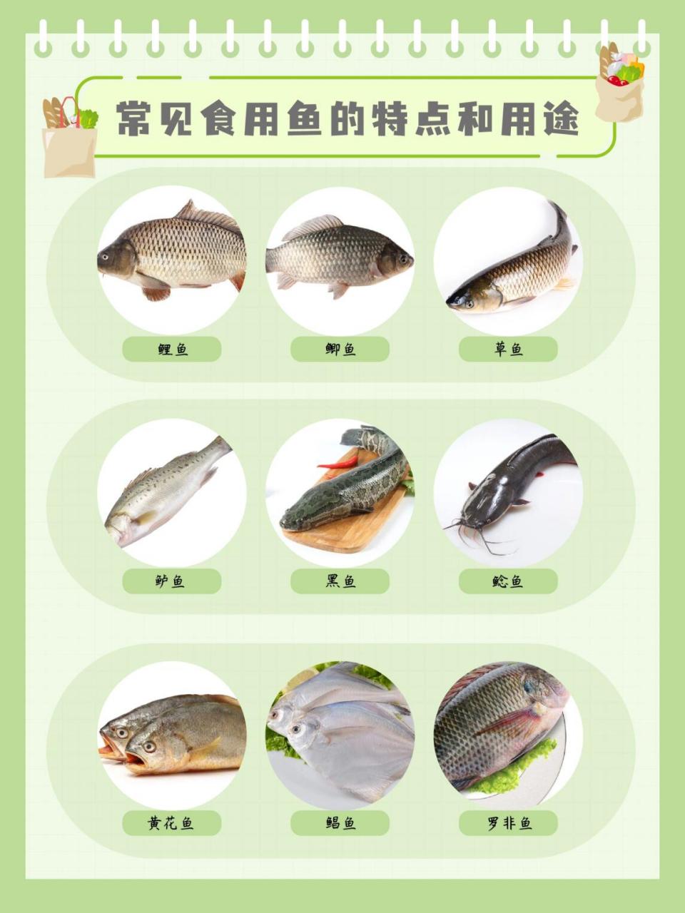 最全食用鱼的区别及做法!