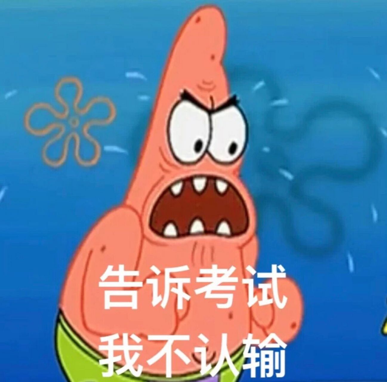 关于努力学习的头像 前几天在网上刷到的分享给大家了!