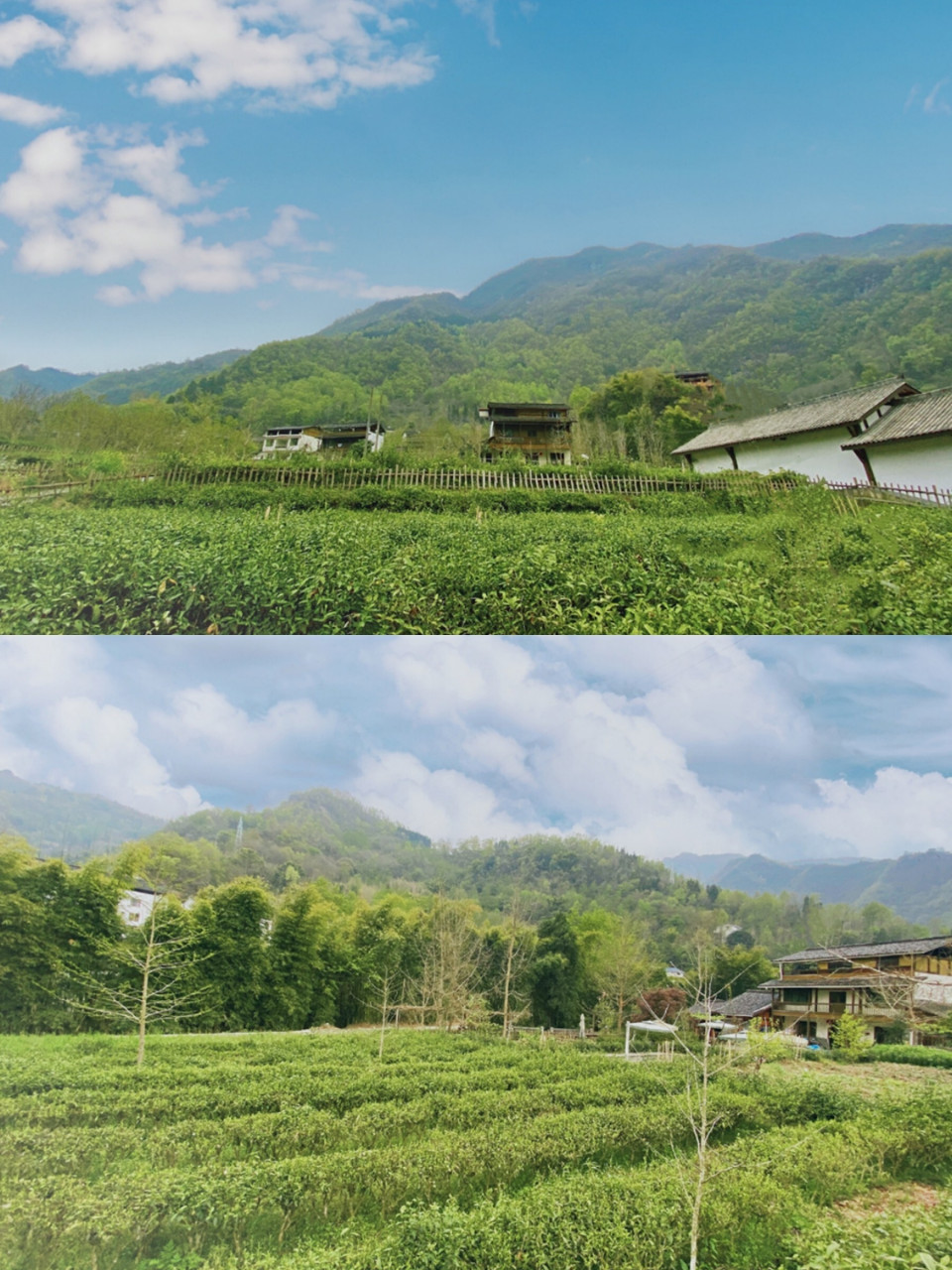 平武茶香小镇丨清漪江畔的世外桃源 在 平武的清漪江畔,有一处海拔一