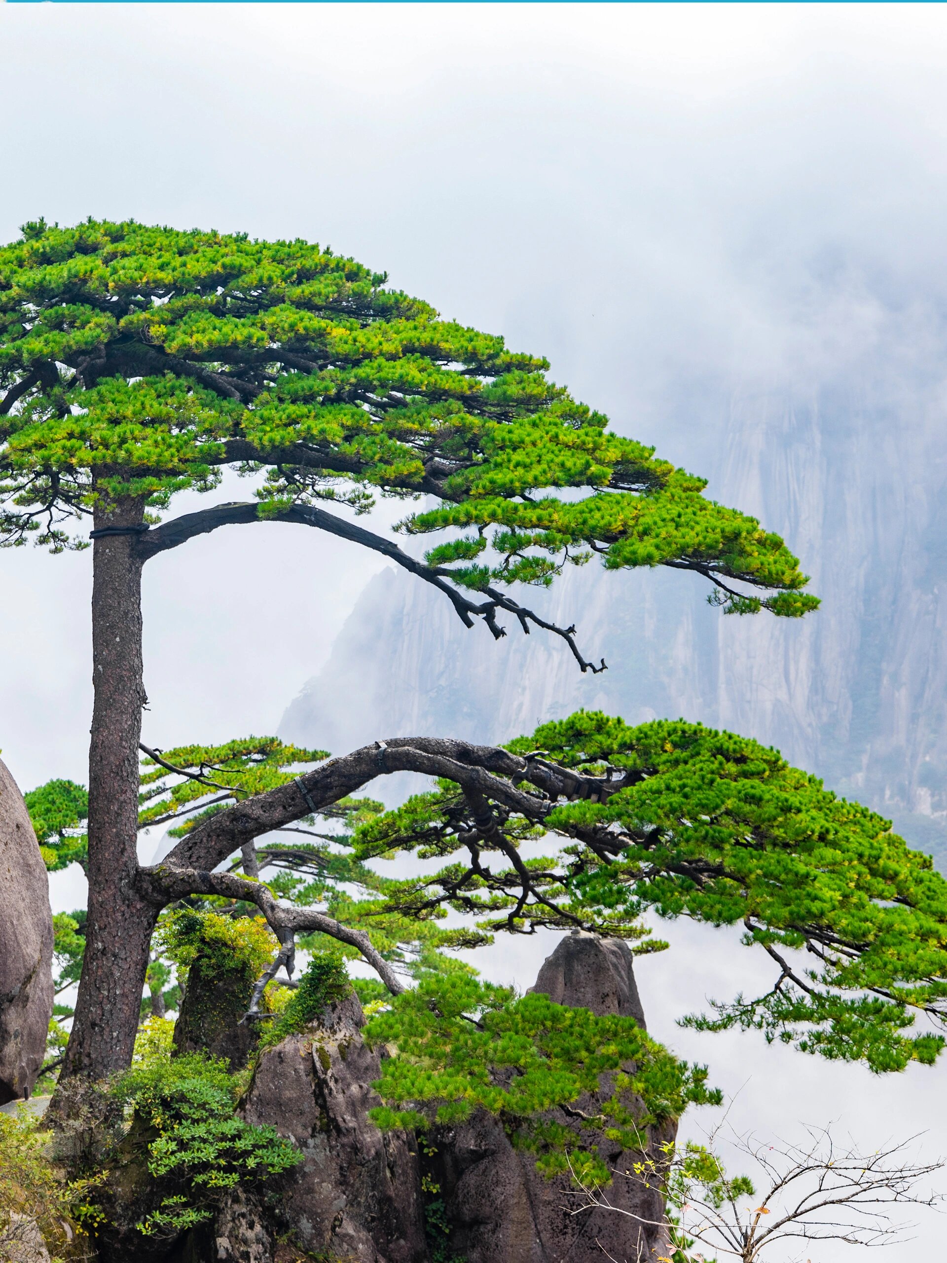 手机风景头像图片大全图片