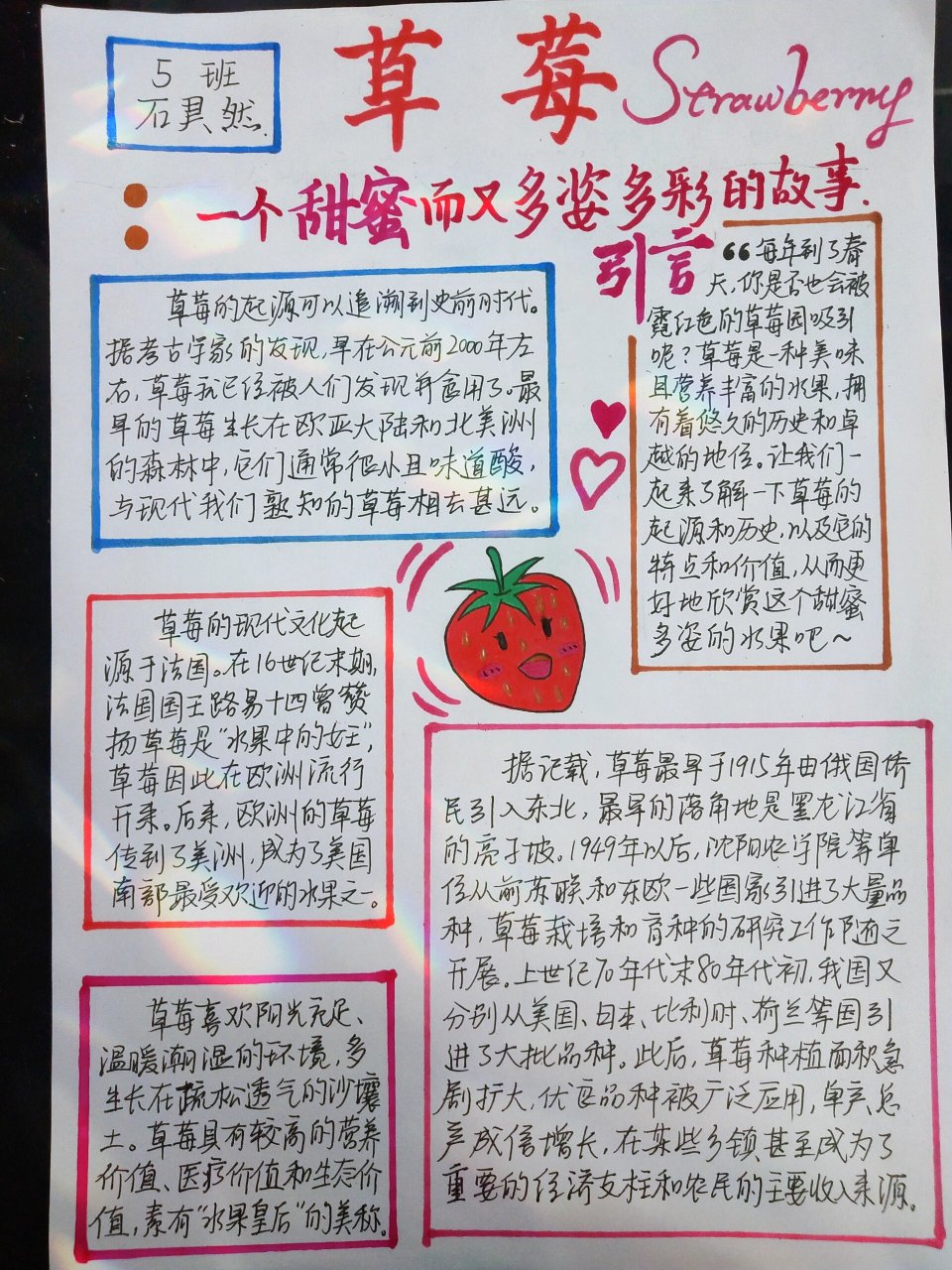 手抄报:关于草莓的历史🍓