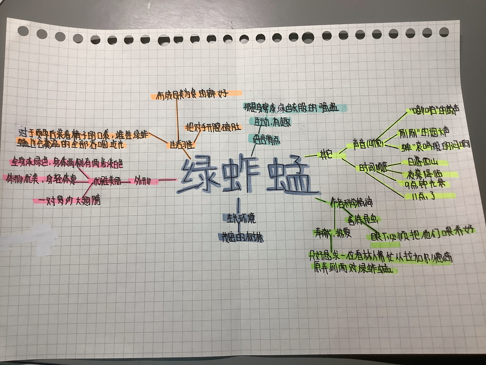 蚱蜢思维导图图片