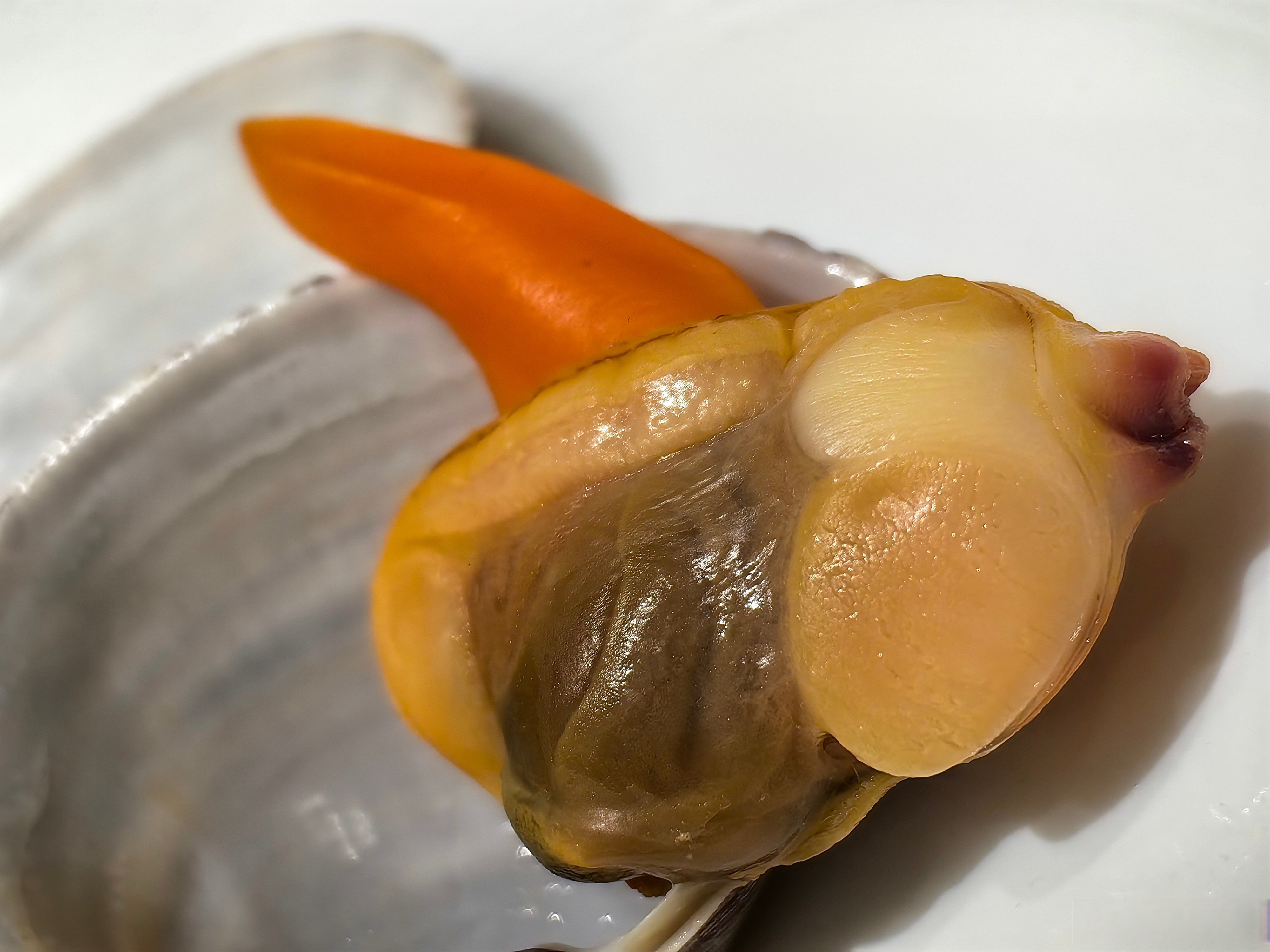 山东日照不允许游客挖不到蛤蜊#日照的蛤蜊鲜美,各种蛤蜊都好吃