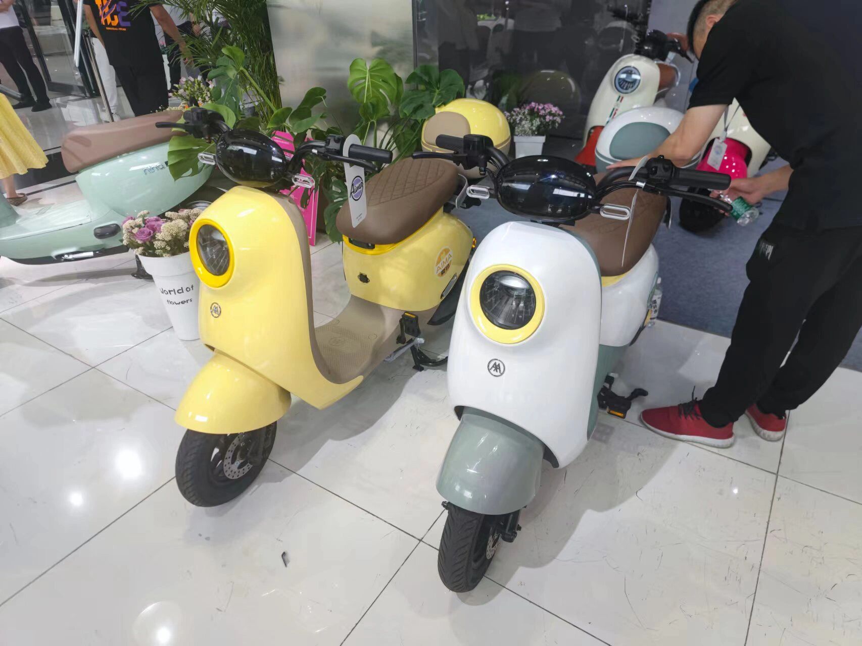 电动车分为电动自行车