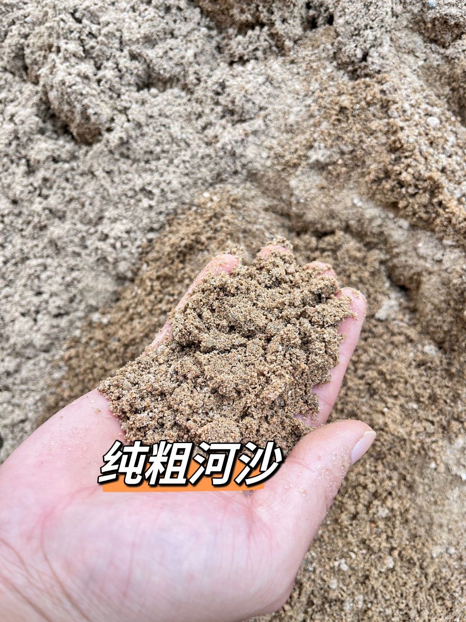 要选就选河沙75 装修和种植要选用河沙～ 	 99首先河沙与海沙相比