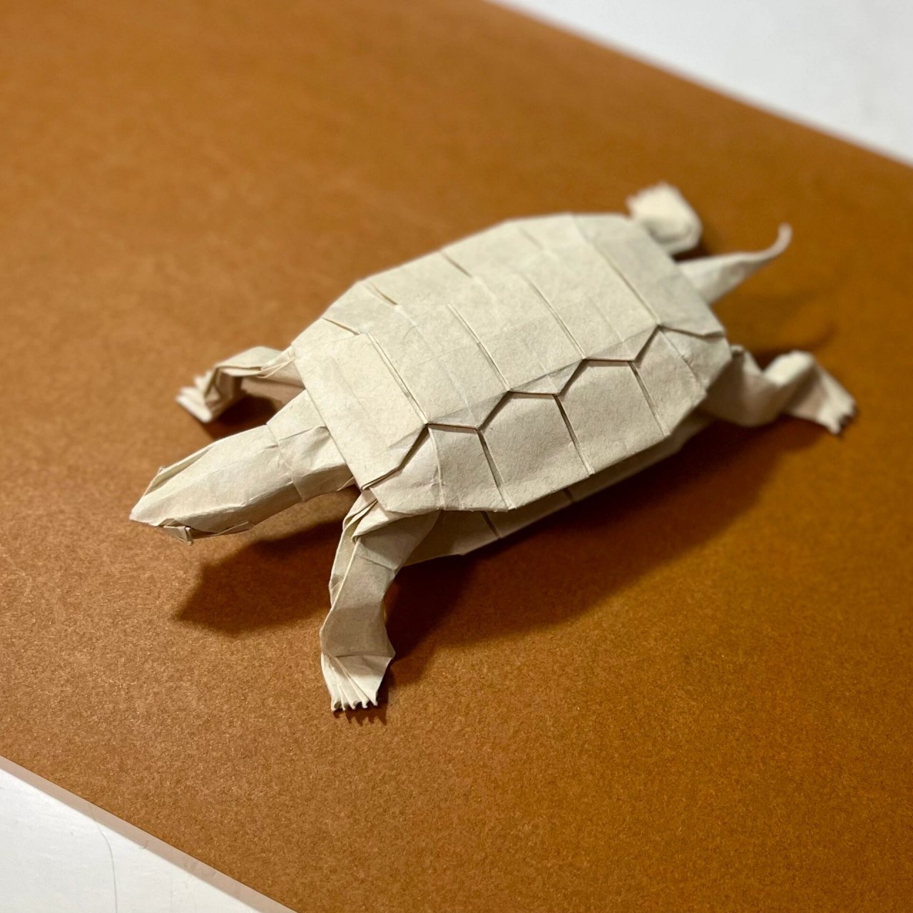折纸神谷哲史海龟图片
