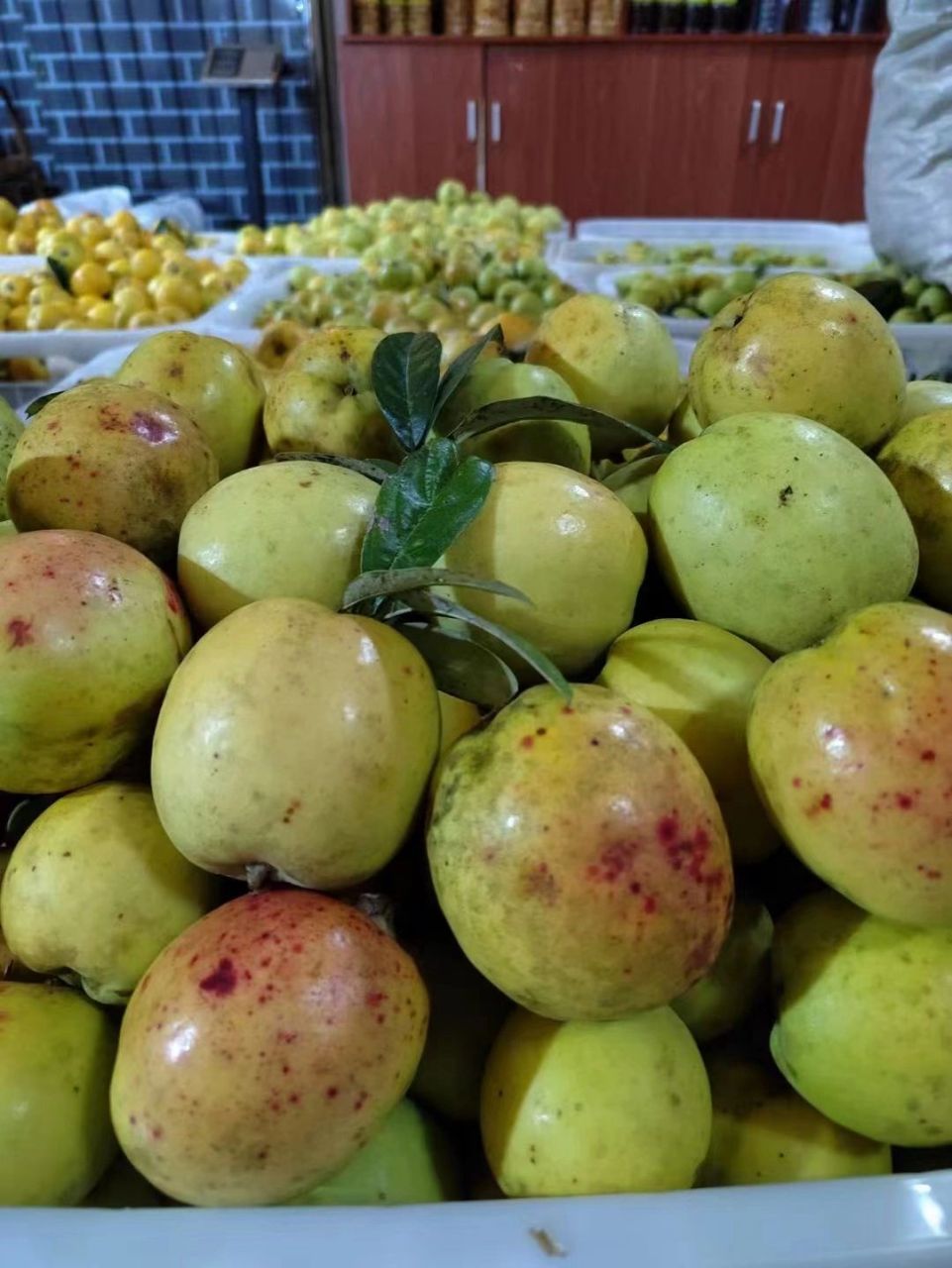 酸多依果 在云南省澜沧县有一个特别的节日——糯扎渡多依果节,多依果