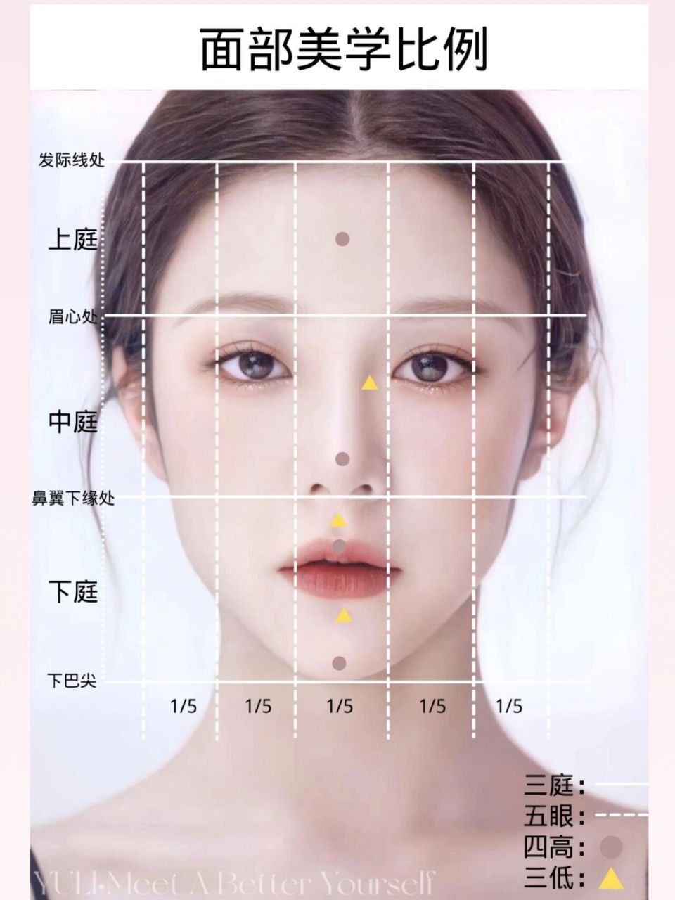 三庭:指的是面部的纵向比例是否标准,把脸的长度分为三等份,各占脸长