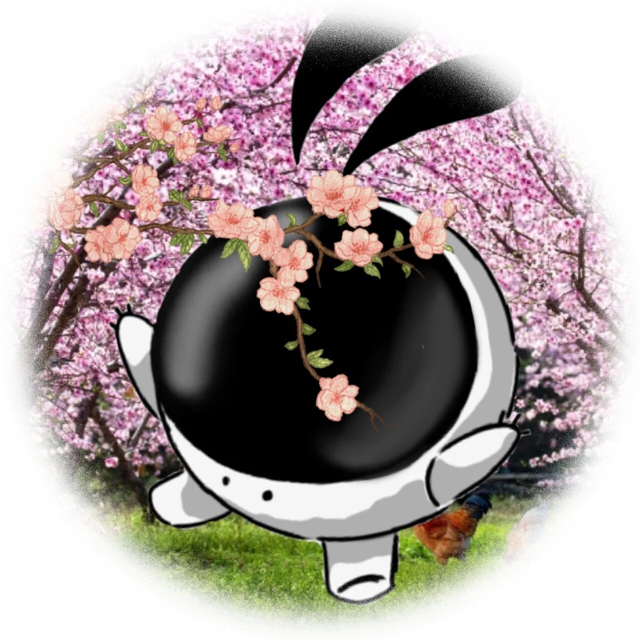 裁判球四季头像 第一张背景原创是,后面三张的背景和裁判球原创忘了