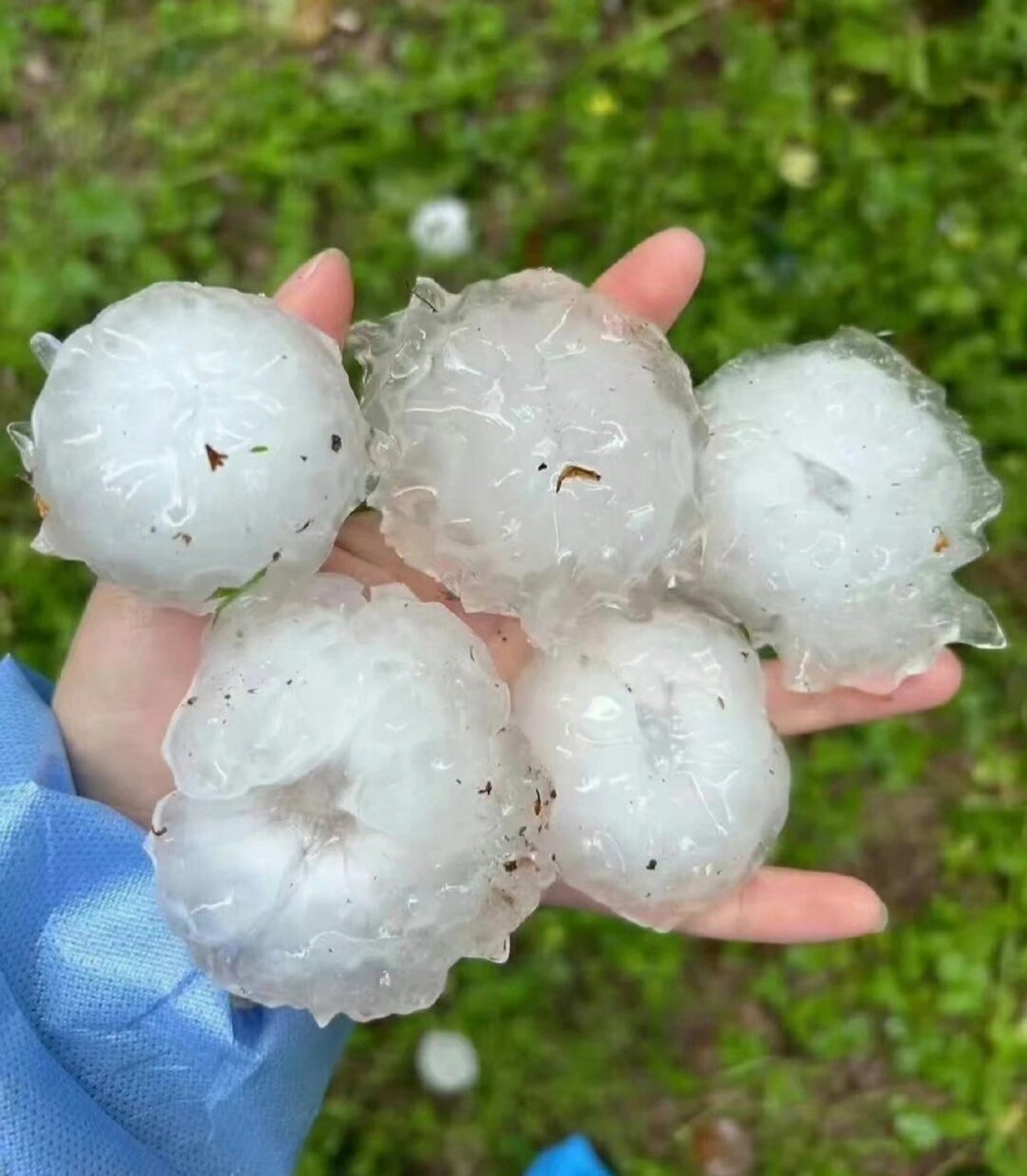 给大家看看江西的特大冰雹060606 长那么大头一次见这么大的