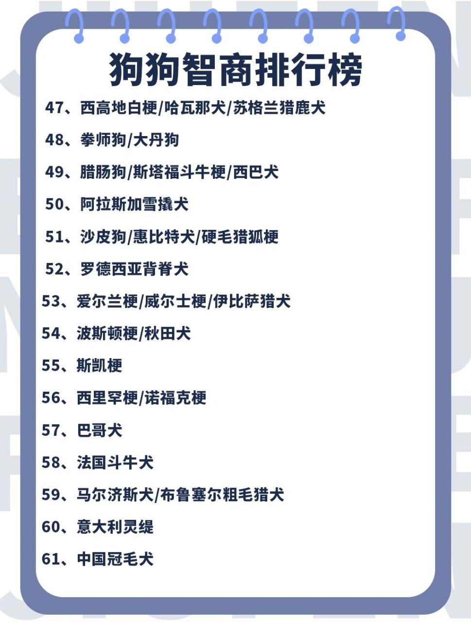 95本篇整理犬类智商