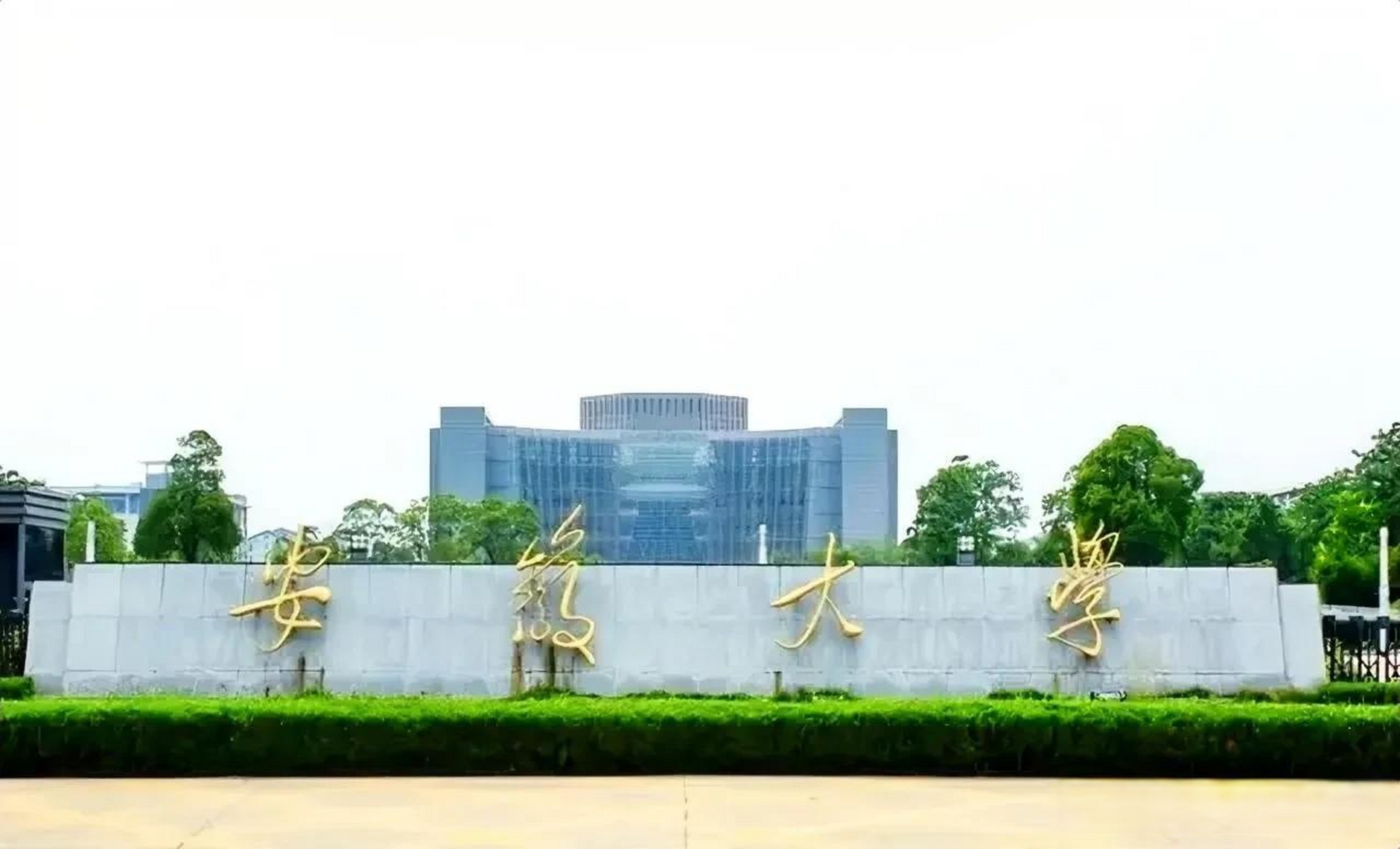 安徽大学办公室原主任孙艳松被查,我百思不得其解,一个高校的办公室