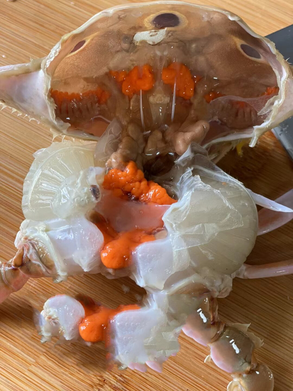 怎么样挑选三目蟹呢?