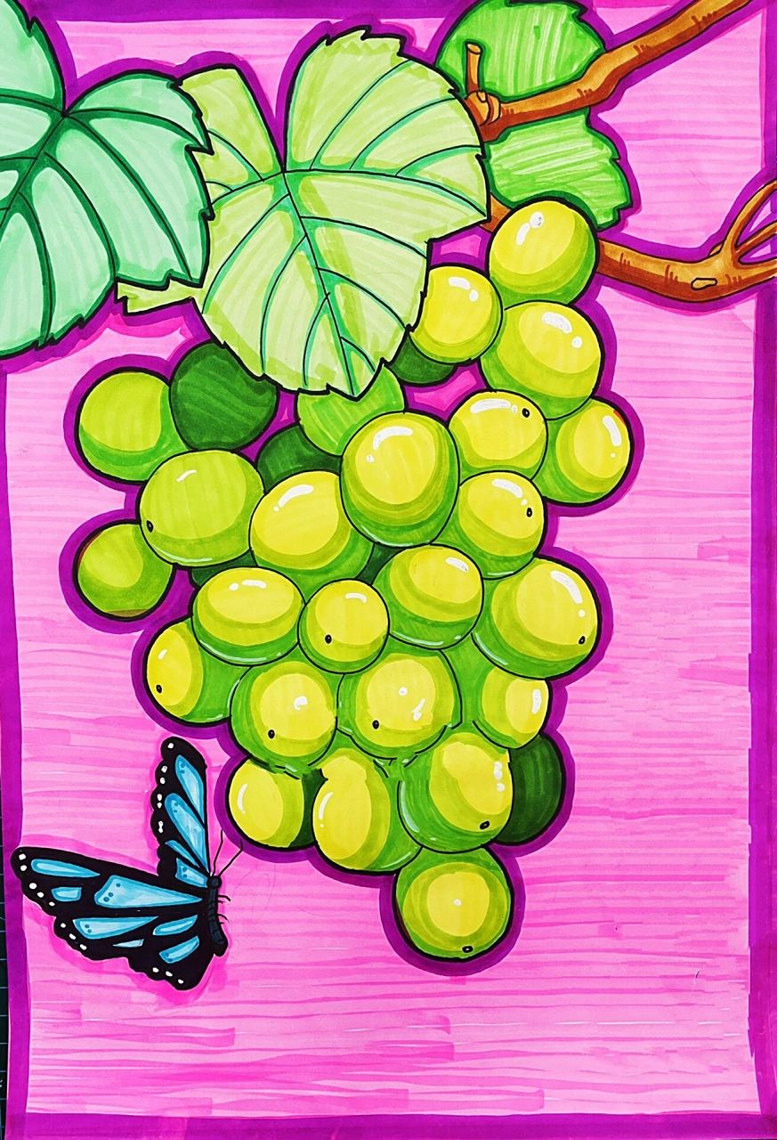今日分享马克笔线描葡萄,绿色的提子 晴王葡萄,马克笔水果,线描水果