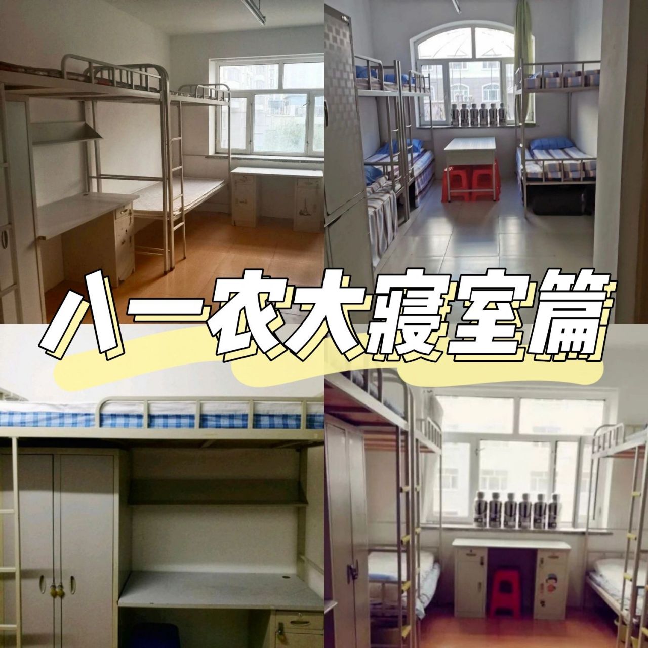 黑龙江八一农垦大学寝室篇 61四人寝:上床下桌 61六人寝:多为两张