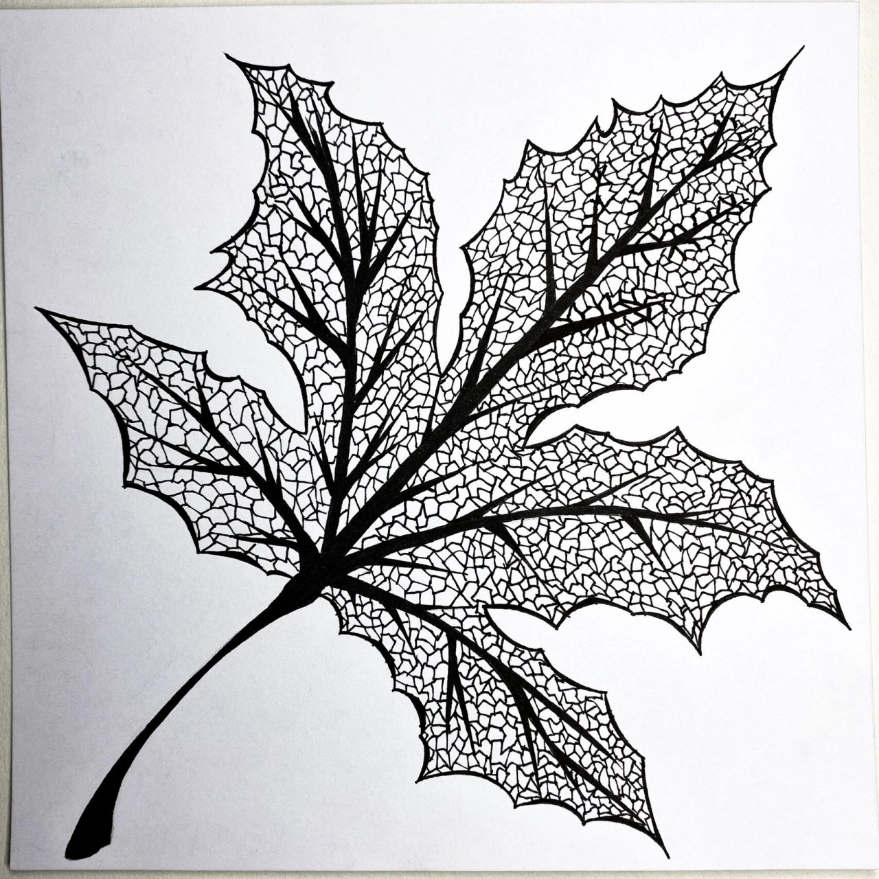 视觉传达设计黑白点线面平构作业(二)97 这一组有线的构成与面的