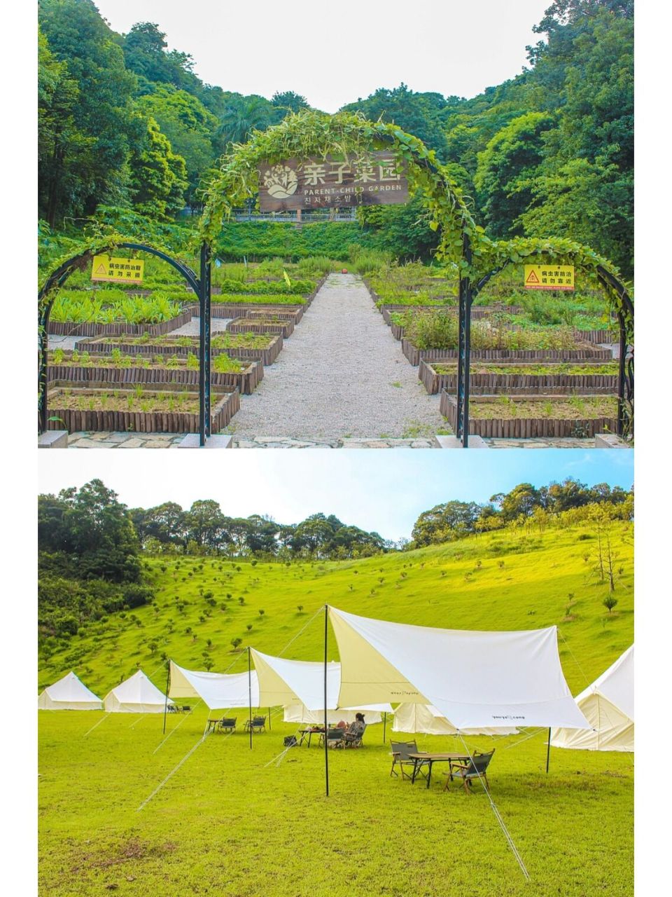 广州周边i从化客天下两天一夜旅游攻略来啦 04作为朝九晚六的上班族