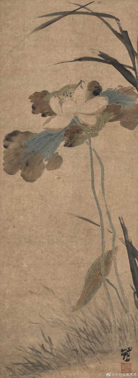 【 孙铁州|荷花 】  #花鸟画# #国画