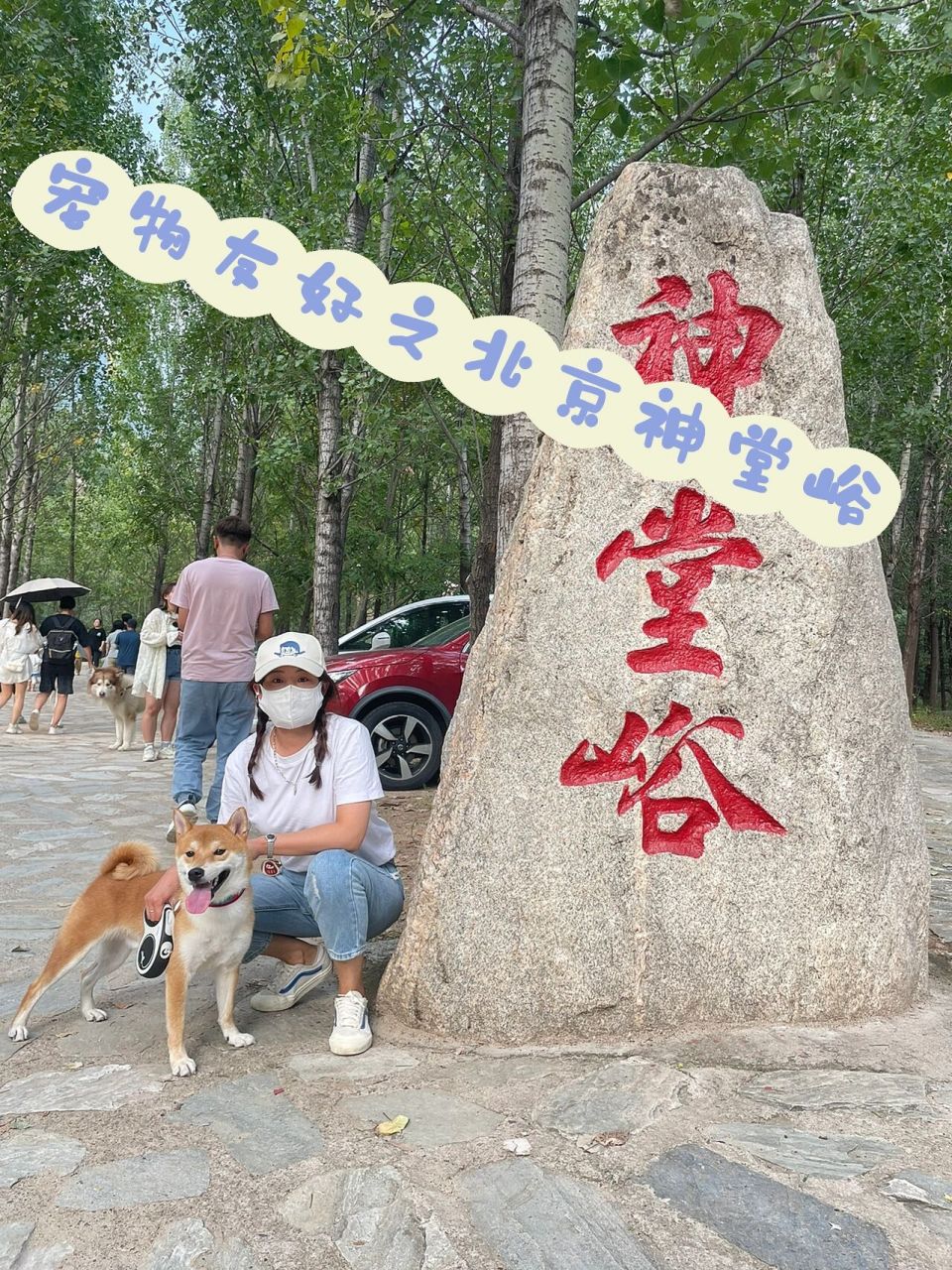 北京周边可以带狗的景区|北京怀柔神堂峪 北京周边可以带狗去玩的景区
