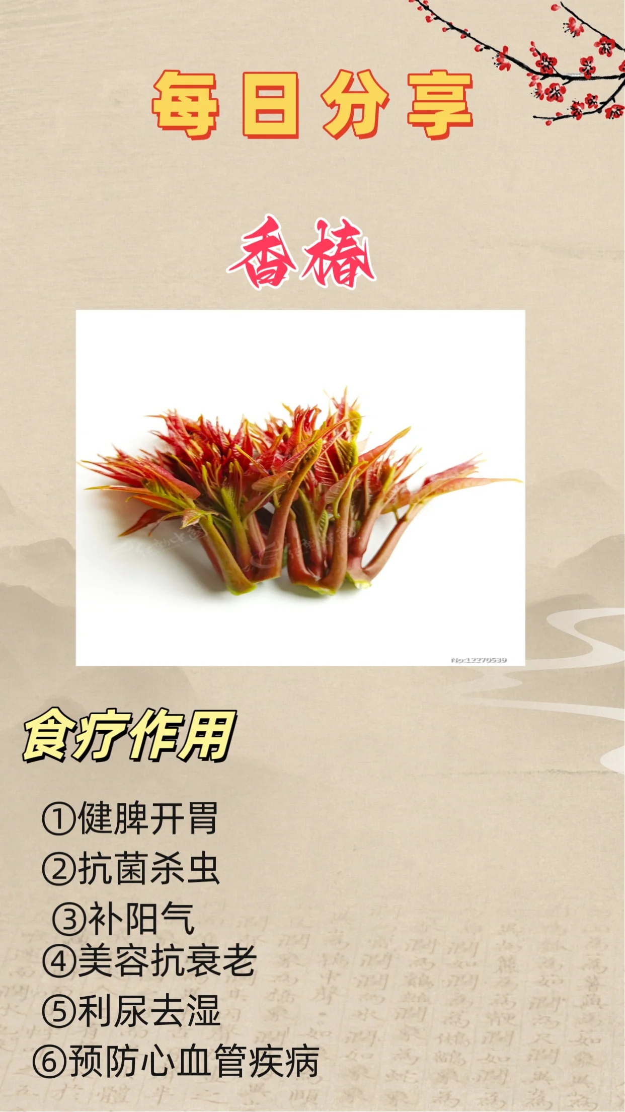 你知道春天吃香椿的好处吗? 你知道春天吃香椿的好处吗?