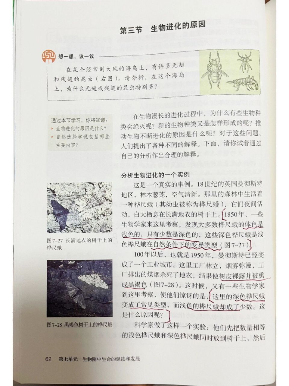 3《生物进化的原因》人教版生物课本笔记