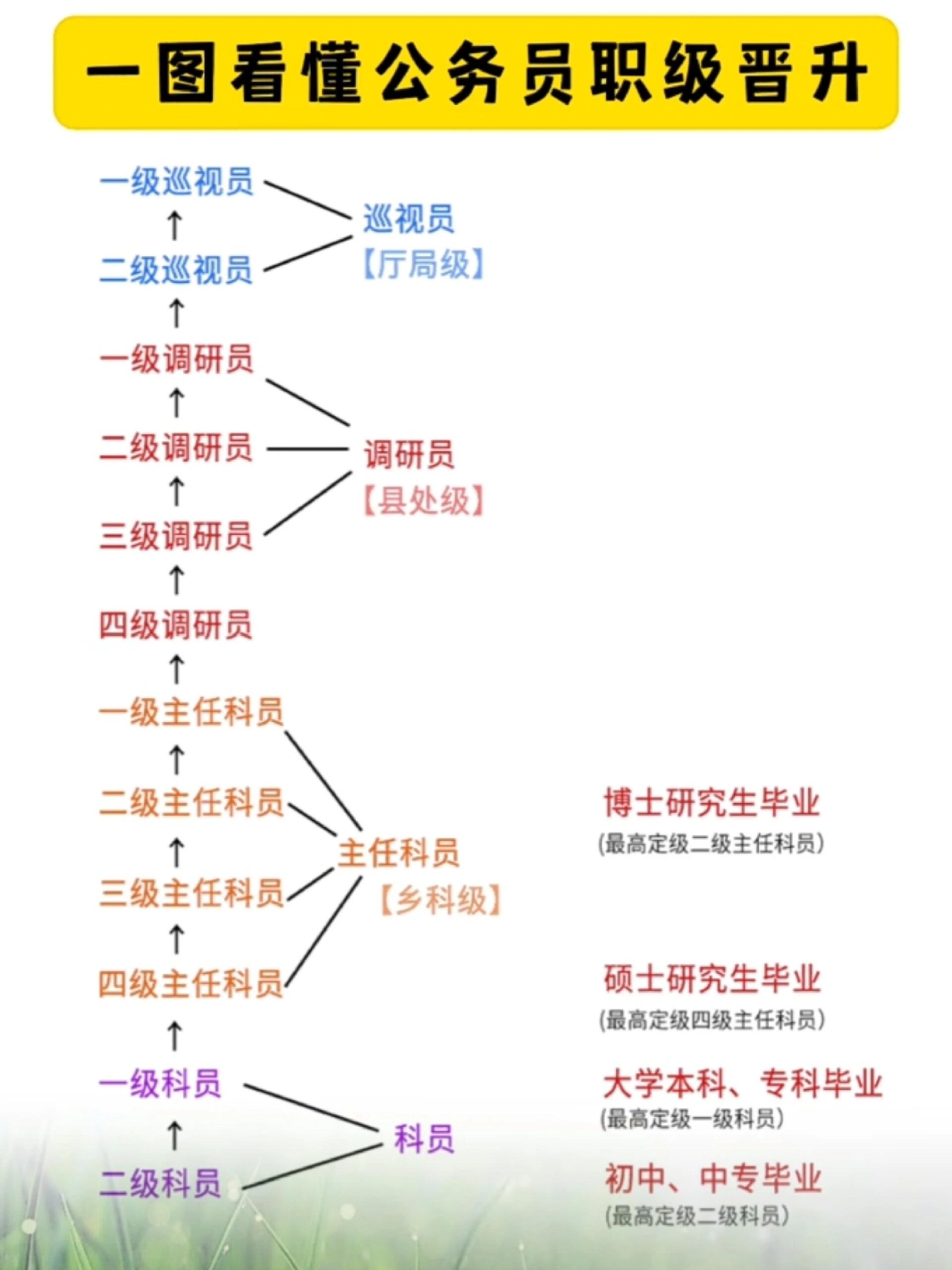 和副高是什么很厉害的角色吗 常听同事说盼着退休前完成四调或者副高