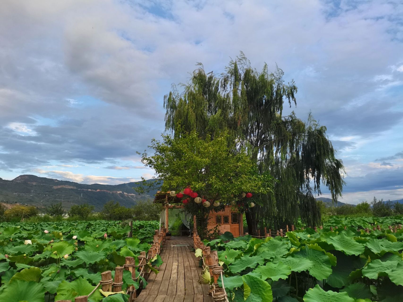 丽江旅游小众景点 | 三川翠湖    91三川翠湖位于丽江市永胜县三川