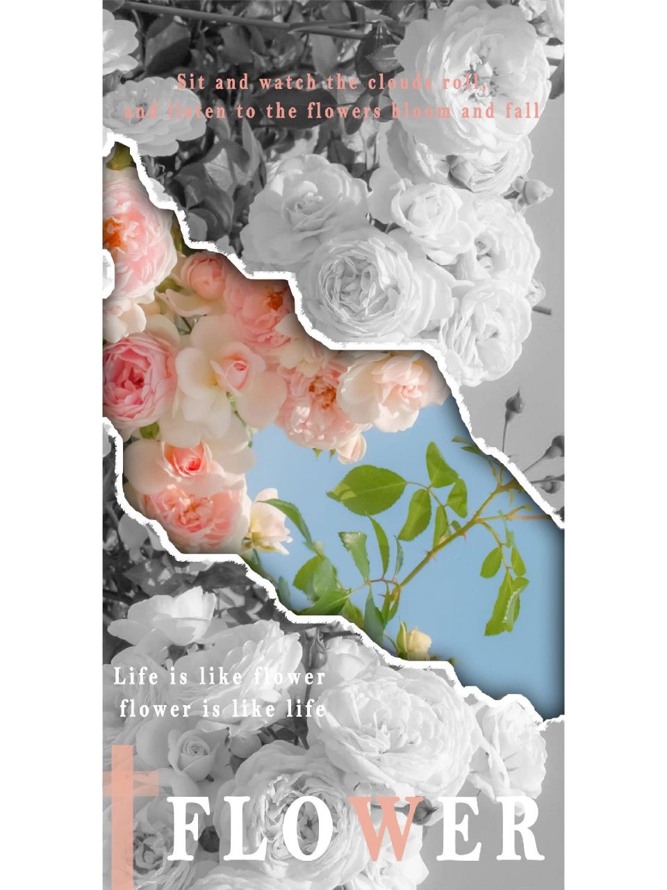 ps练习--撕纸效果 1,导入素材图片; 2,ctrl j 复制图层; 3,ctrl shift