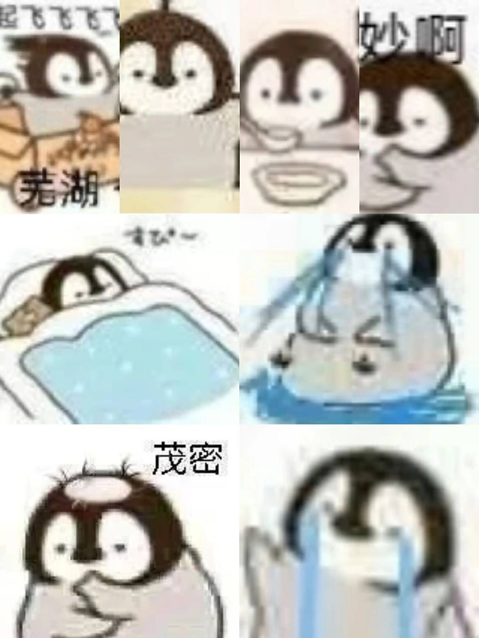 小企鹅表情包第一弹