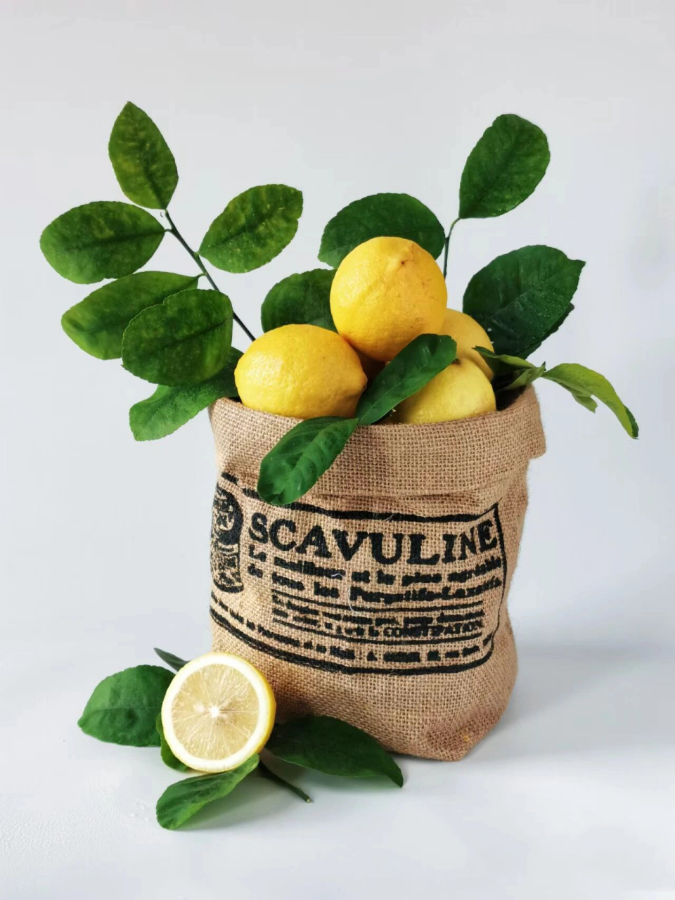 9-10岁创意美术柠檬线描写生