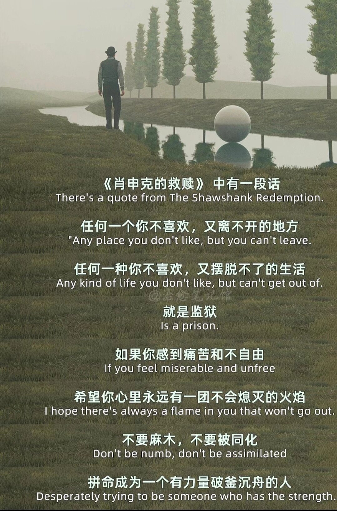 肖生克救赎影评