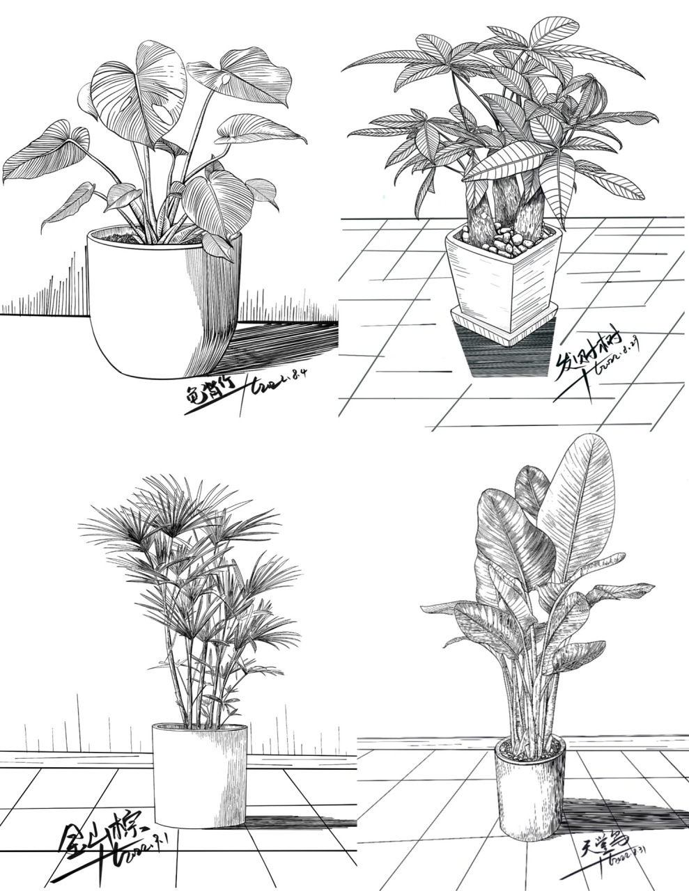 植物鞋写生合集一:写生线描素材分享 98 更多详细步骤看这个号