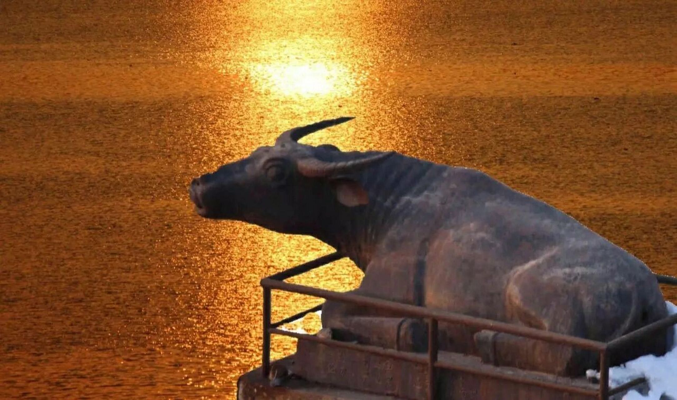 周口沙颍河铁水牛 还藏着一个爱情故事06 古时候,天河里有一条千年