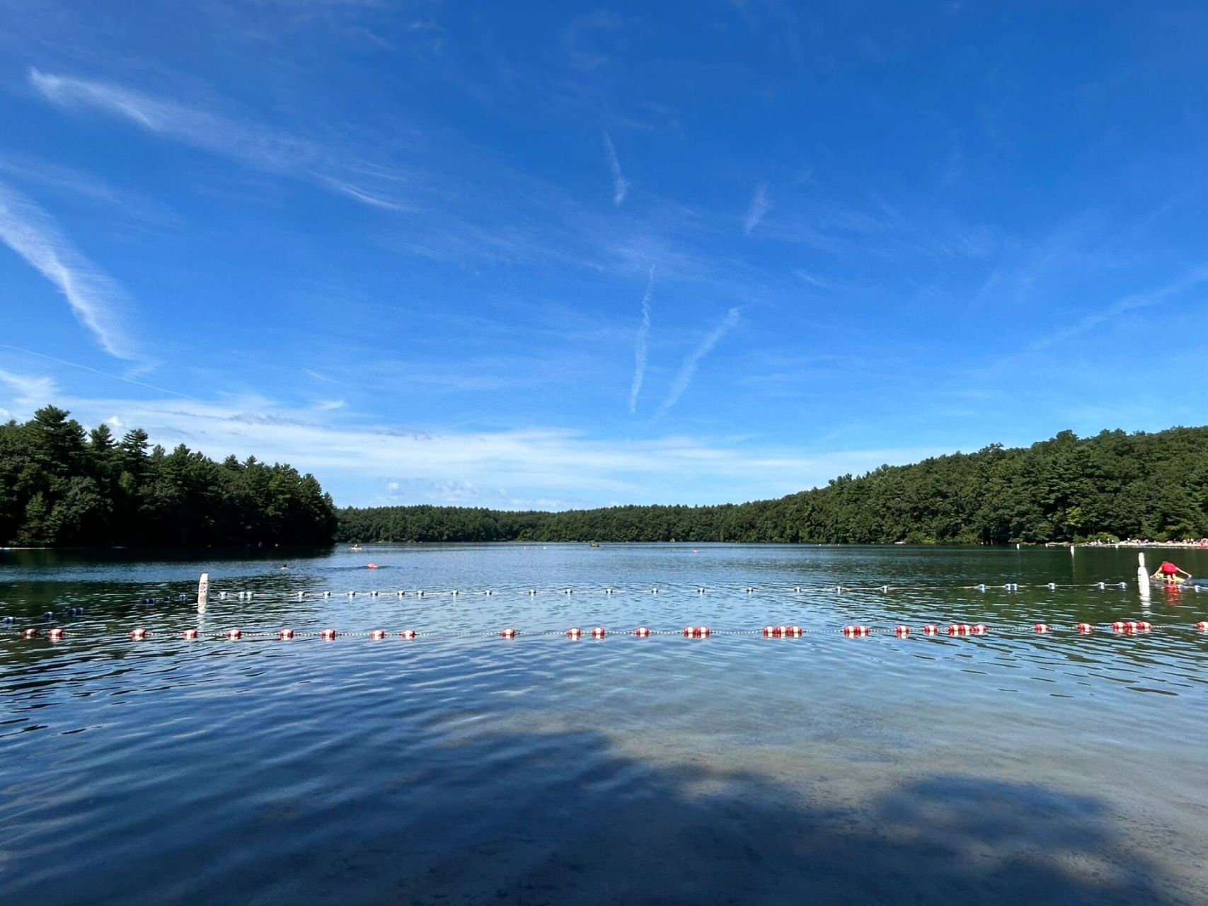 walden pond 瓦尔登湖 今天又去了每年夏天必打卡的瓦尔登湖.