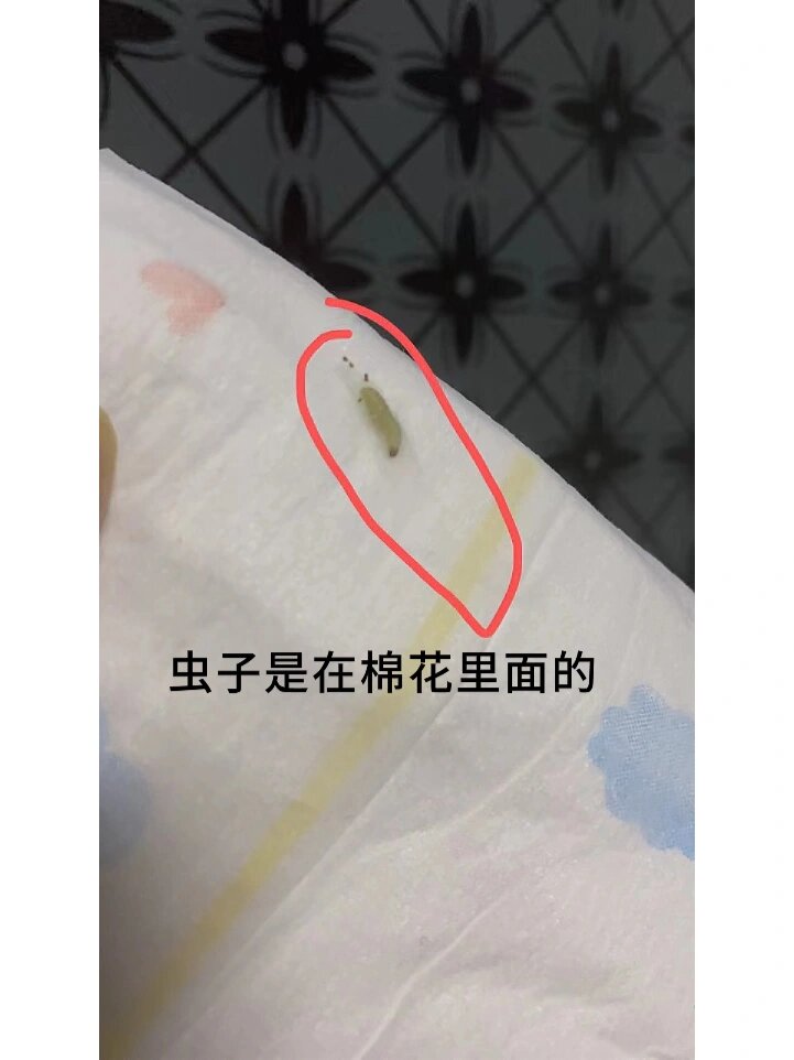拼多多好奇官方旗舰店售卖的纸尿裤里有活虫