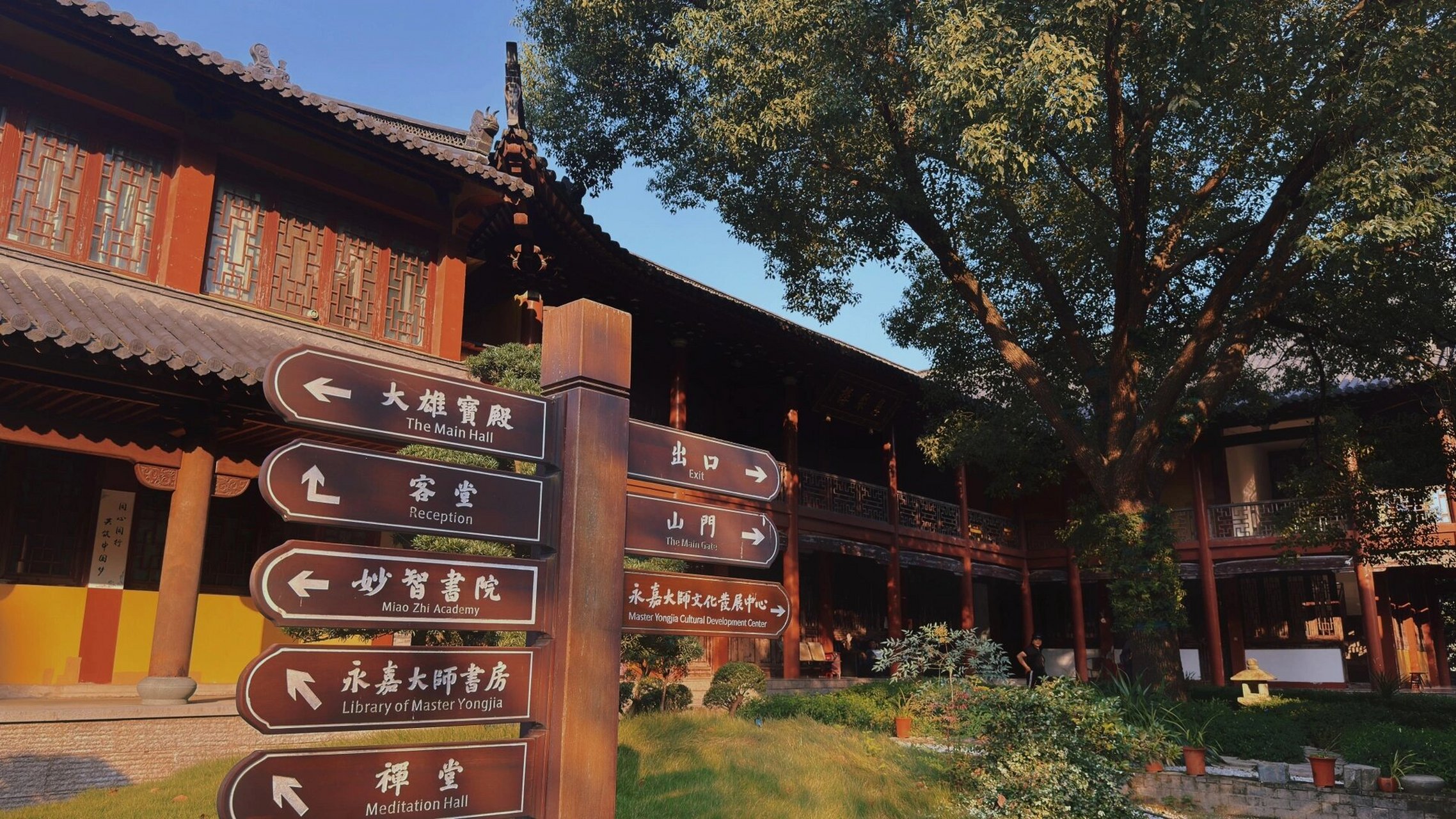 温州最美寺庙丨头陀寺99 享受这一刻的宁静与清香