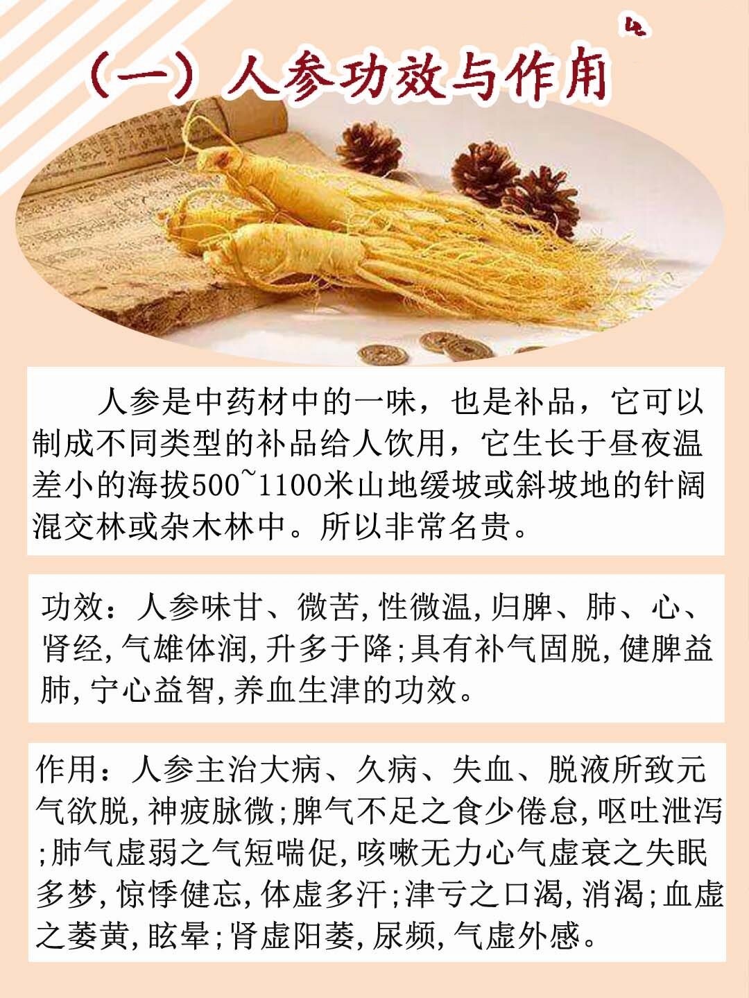 人参图片的功效与作用图片