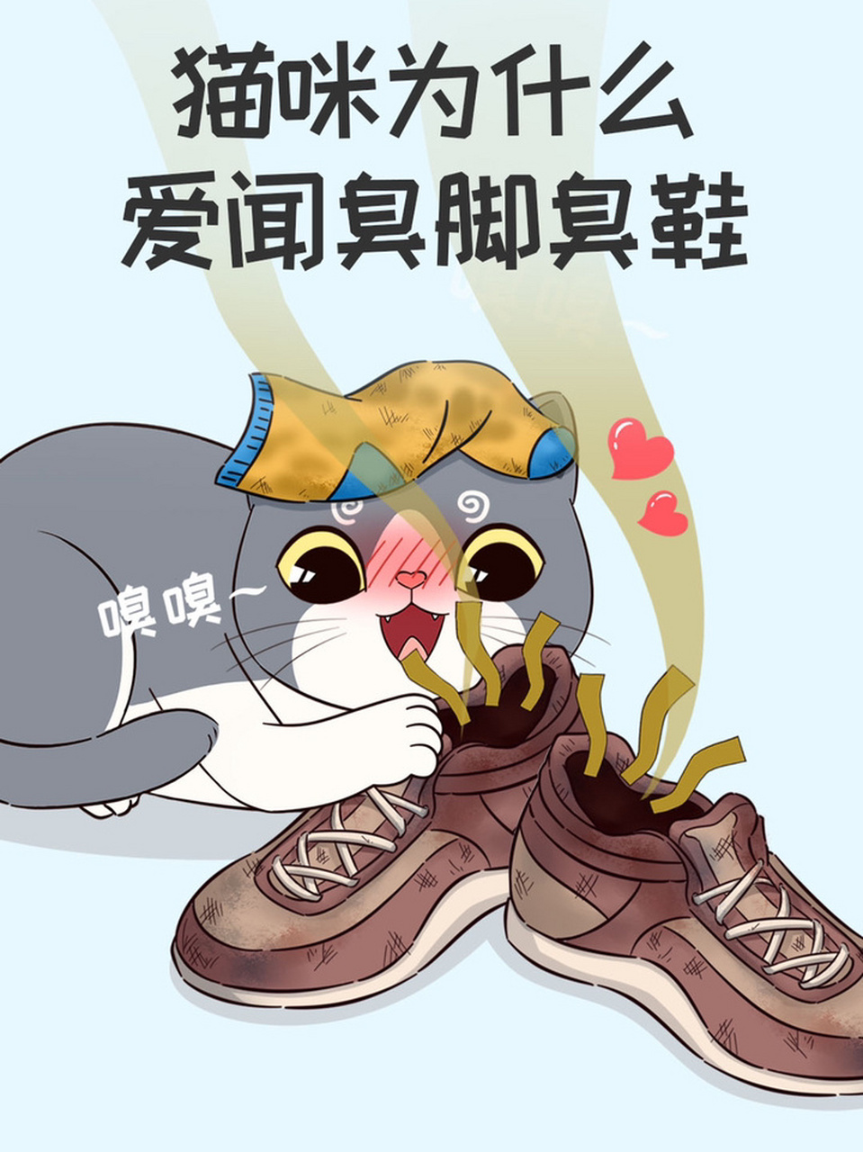 为什么猫沉迷于闻臭脚,臭鞋?莫非有猫病?这场面太酸爽了