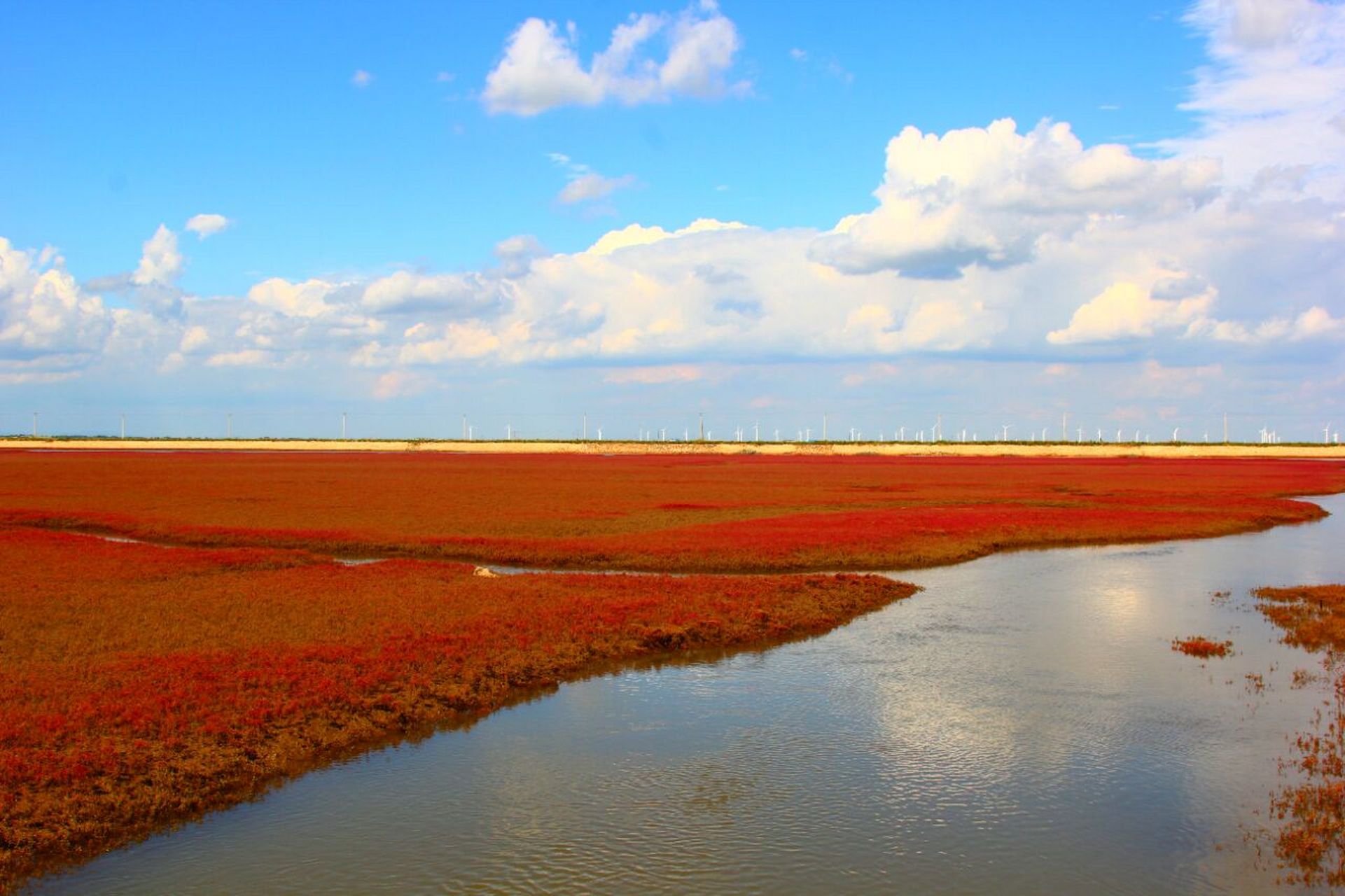 秋天的颜色|锦州红海滩,免费,没有门票 从笔架山到锦州凌海红海滩,一