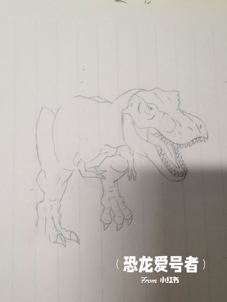 霸王龙头部素描图片