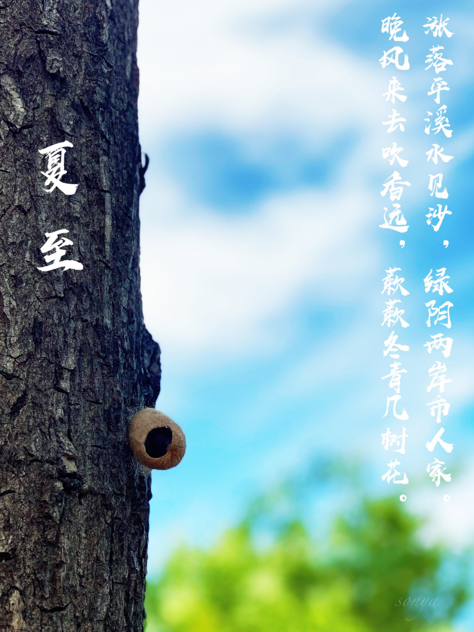 二十四节气之夏至 2021年6月21日 11:32:00,农历五月十二,太阳黄经90