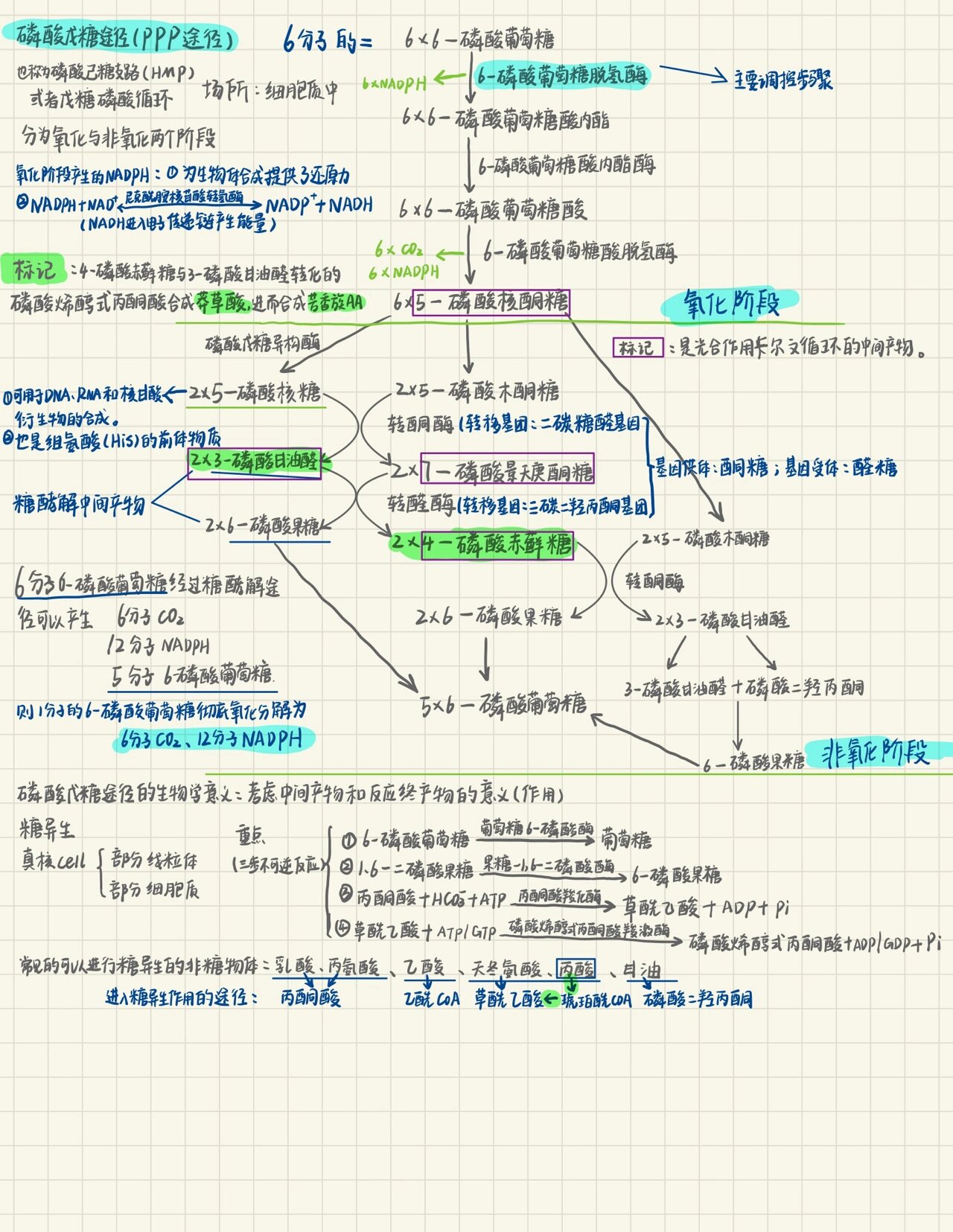 emp途径过程图图片