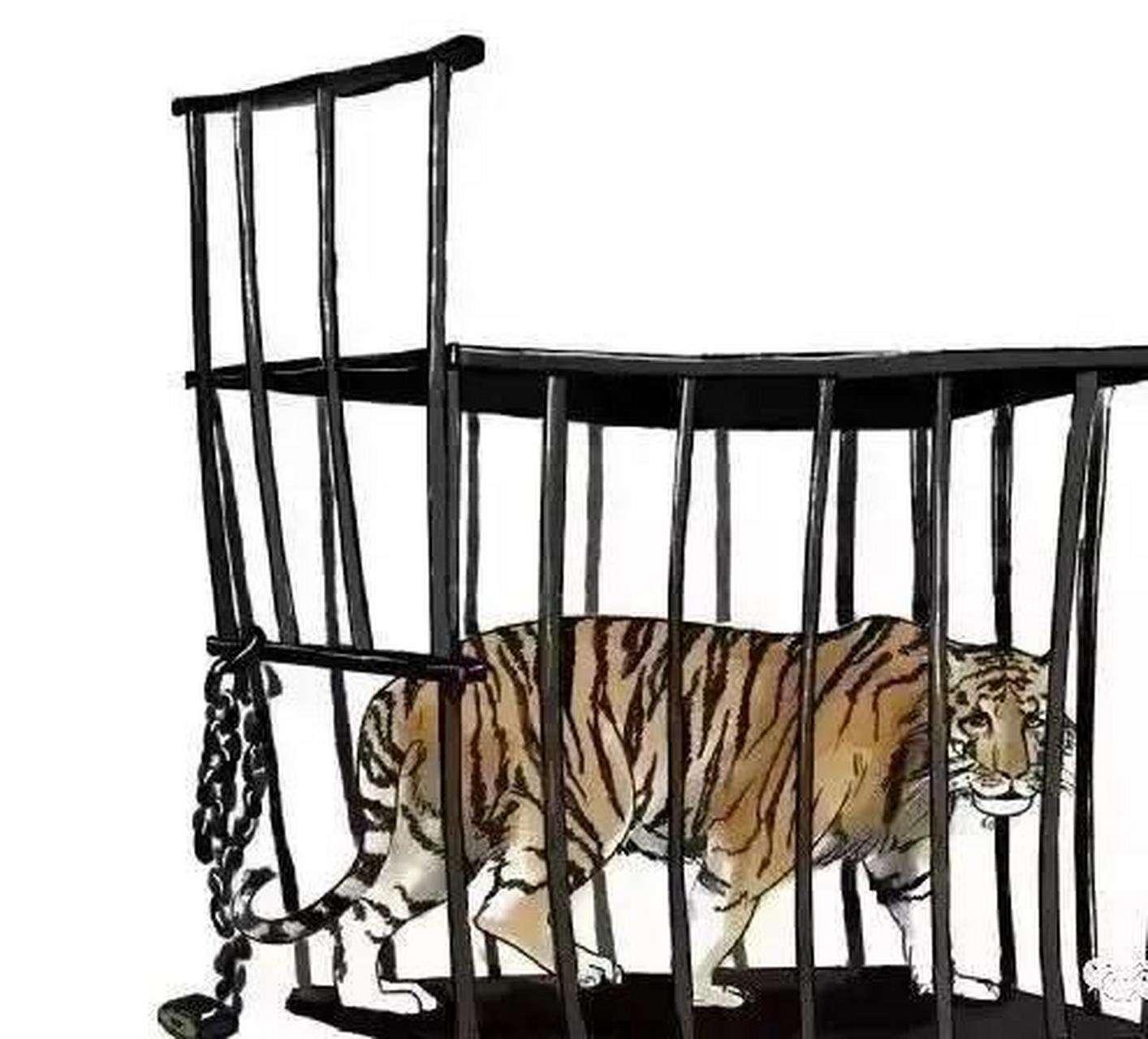 把权力关进制度的笼子,真佩服说出这话的人.