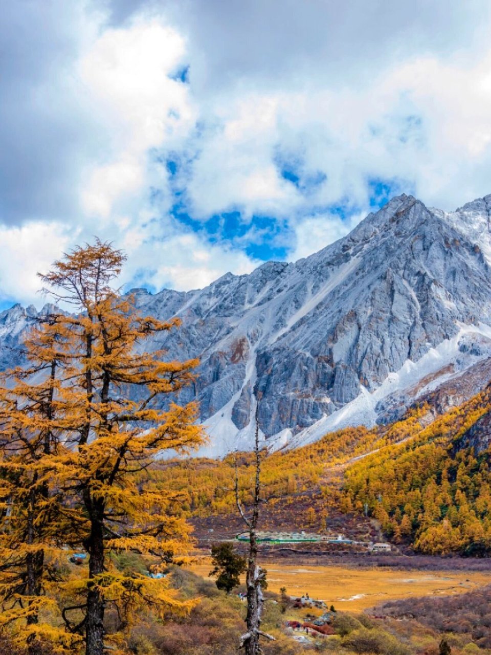 10-11月九寨沟绝美秋景78五日游攻略 73九寨沟10月景色变化 79