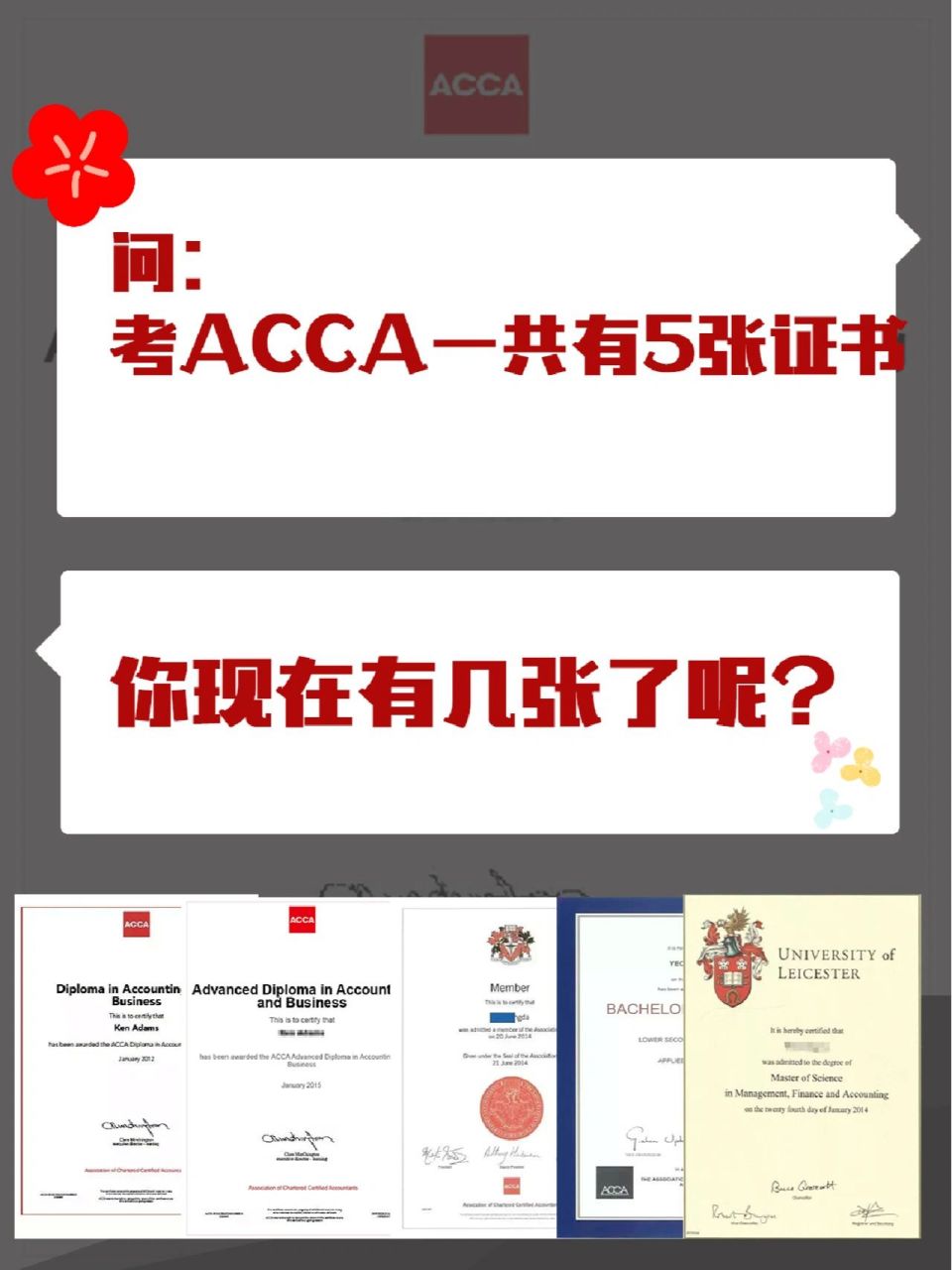 97acca一共5张证书,你有几张呢?
